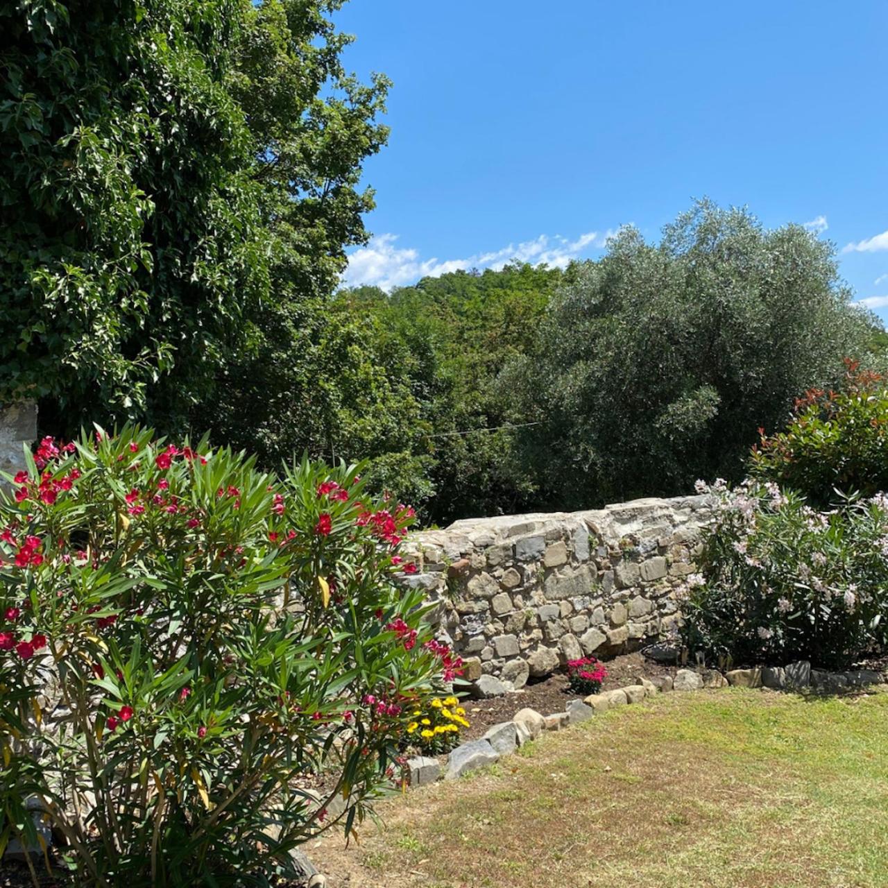Photo 40