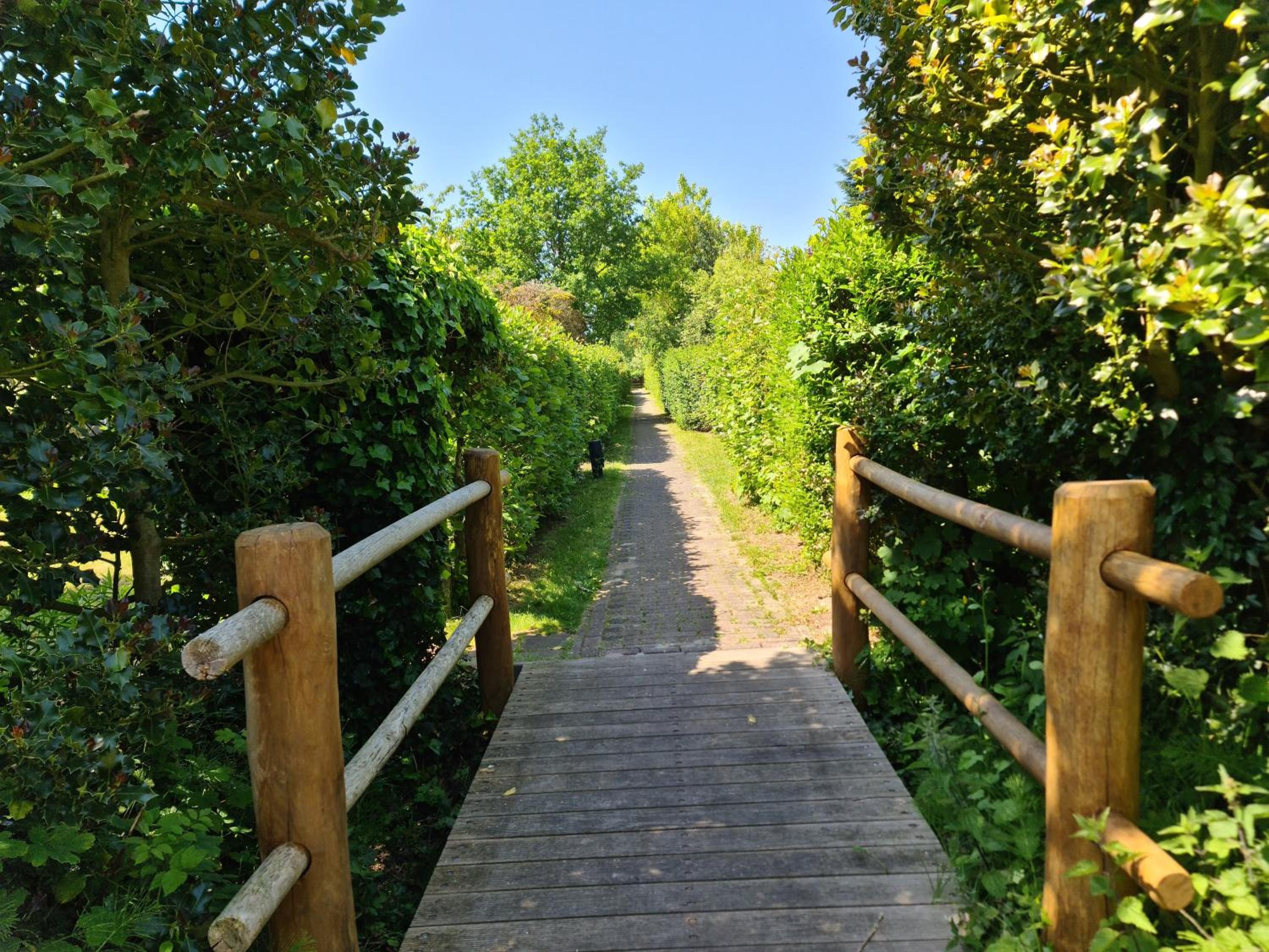 Photo 12