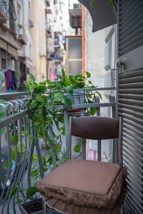 CASABARINA live in the Center of Naples