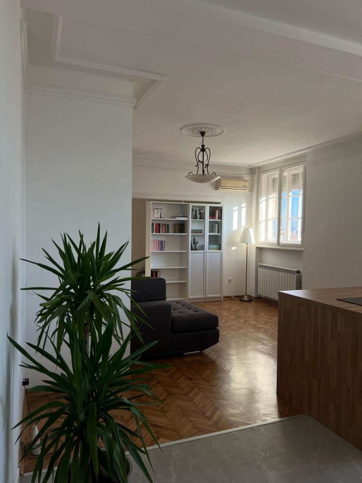 Central View Home Belgrade view 3