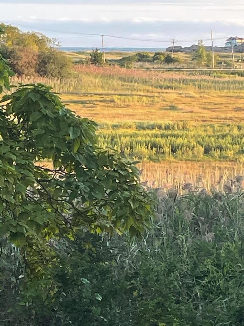 Walk To Good Harbor OCEAN VIEWS Open All Year view 4