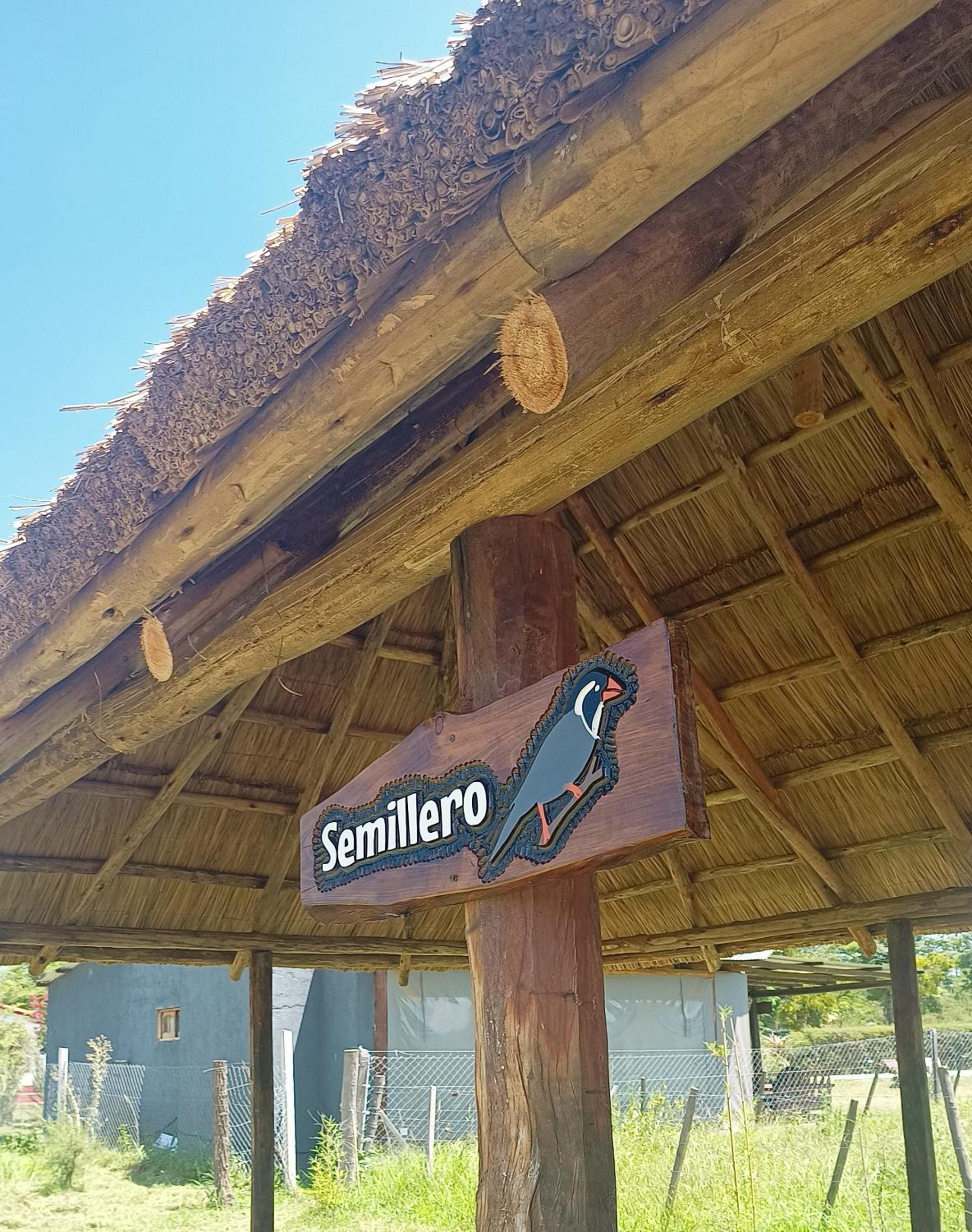 Kapo TEAM , el zorzal