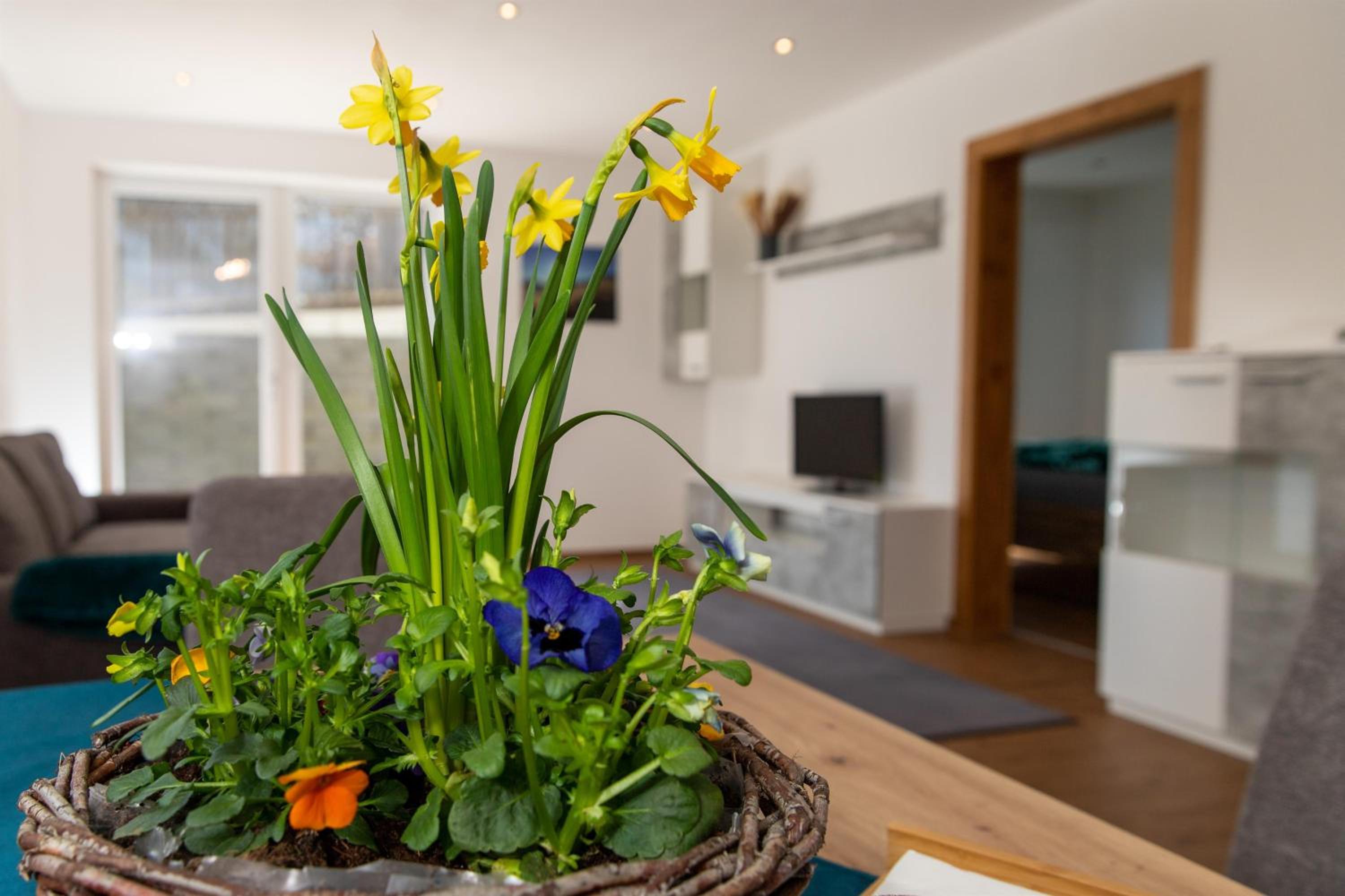 Ferienwohnung Pedit