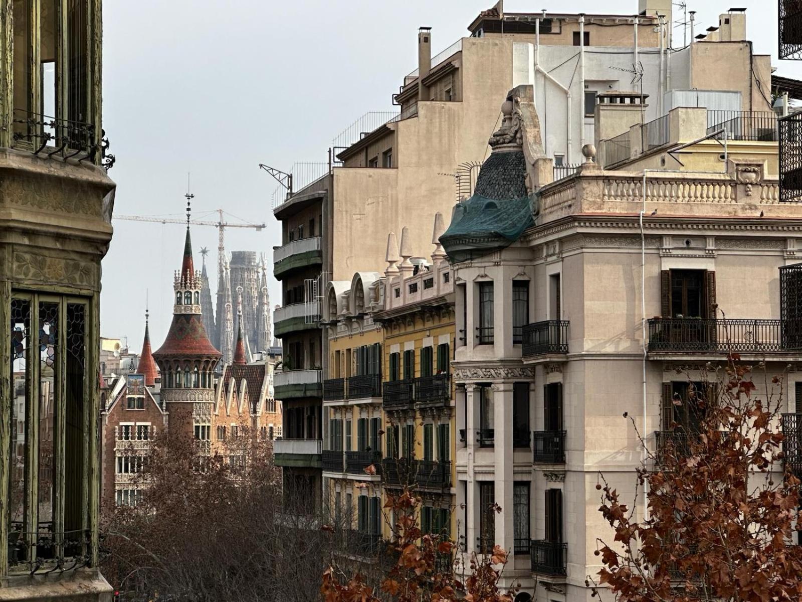 Petit Rosselló