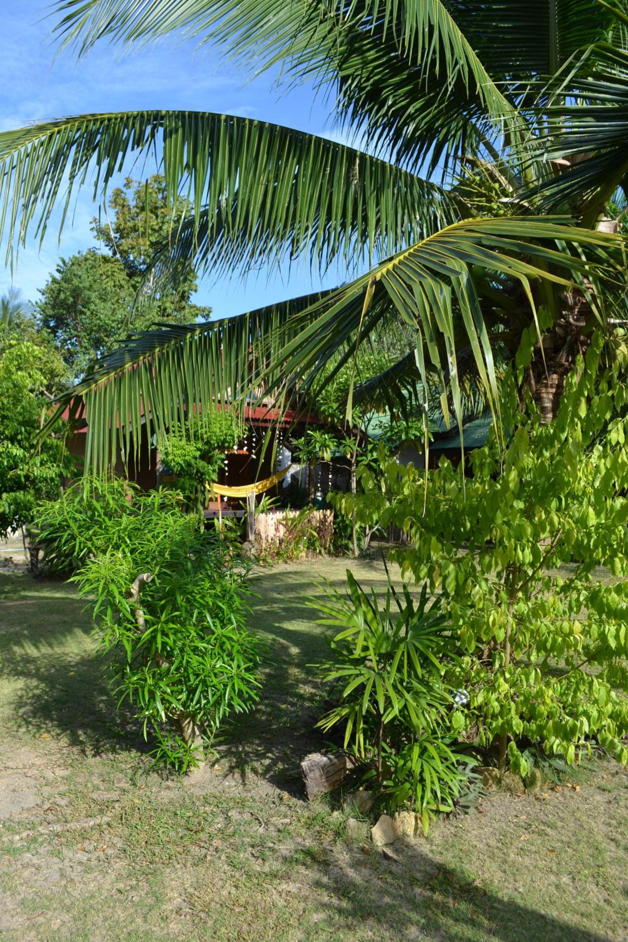 Photo 41