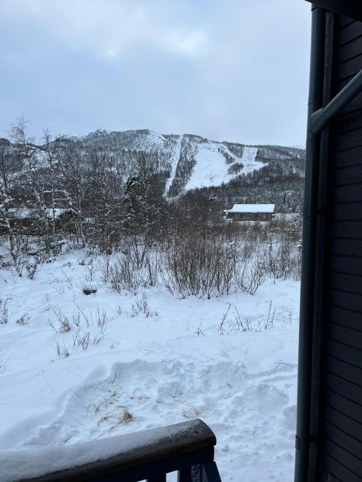 Rett ved Raudalen Alpinanlegg