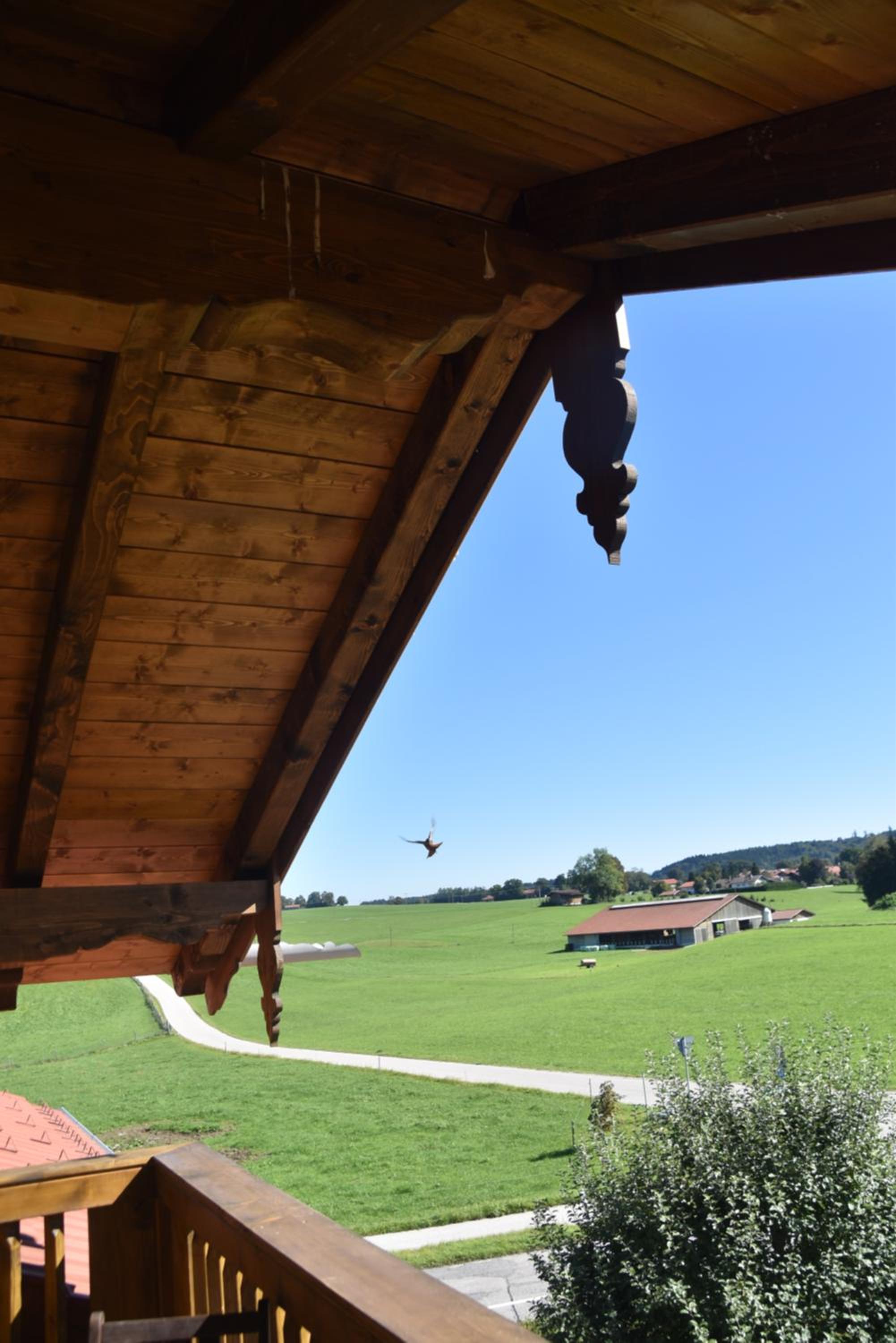 Ferienwohnung beim Hainz