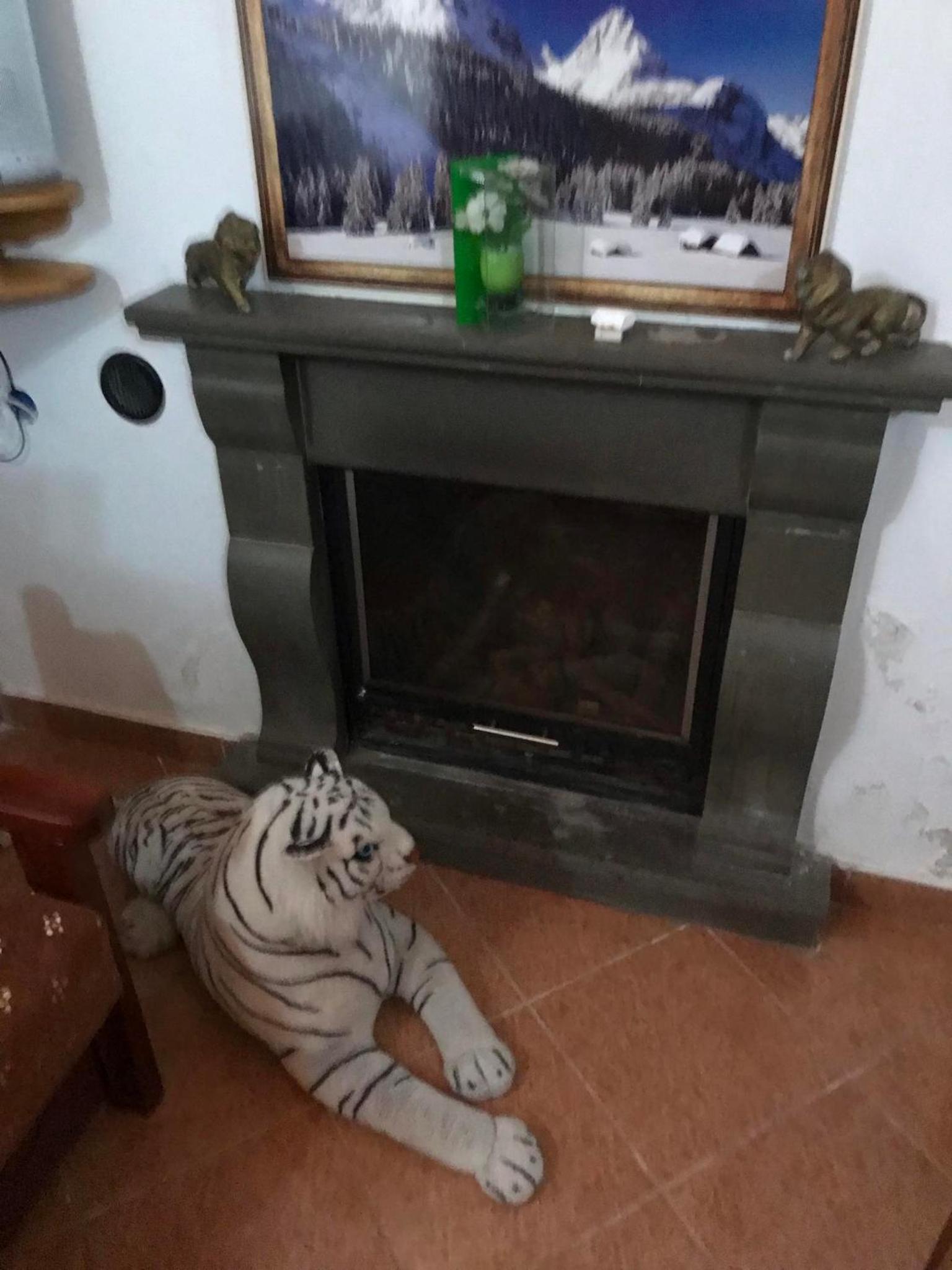 Bujtina Anesi