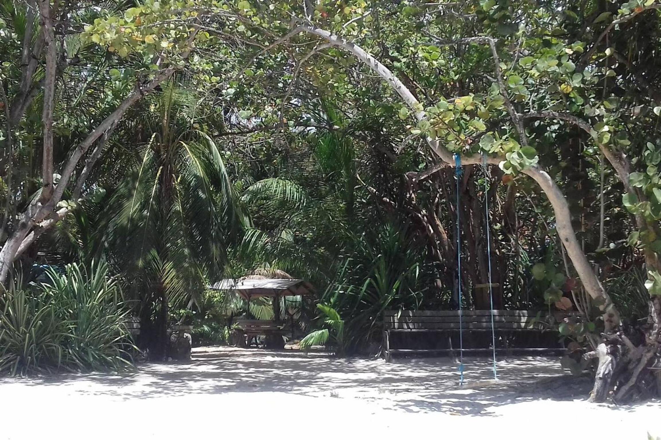 Photo 14