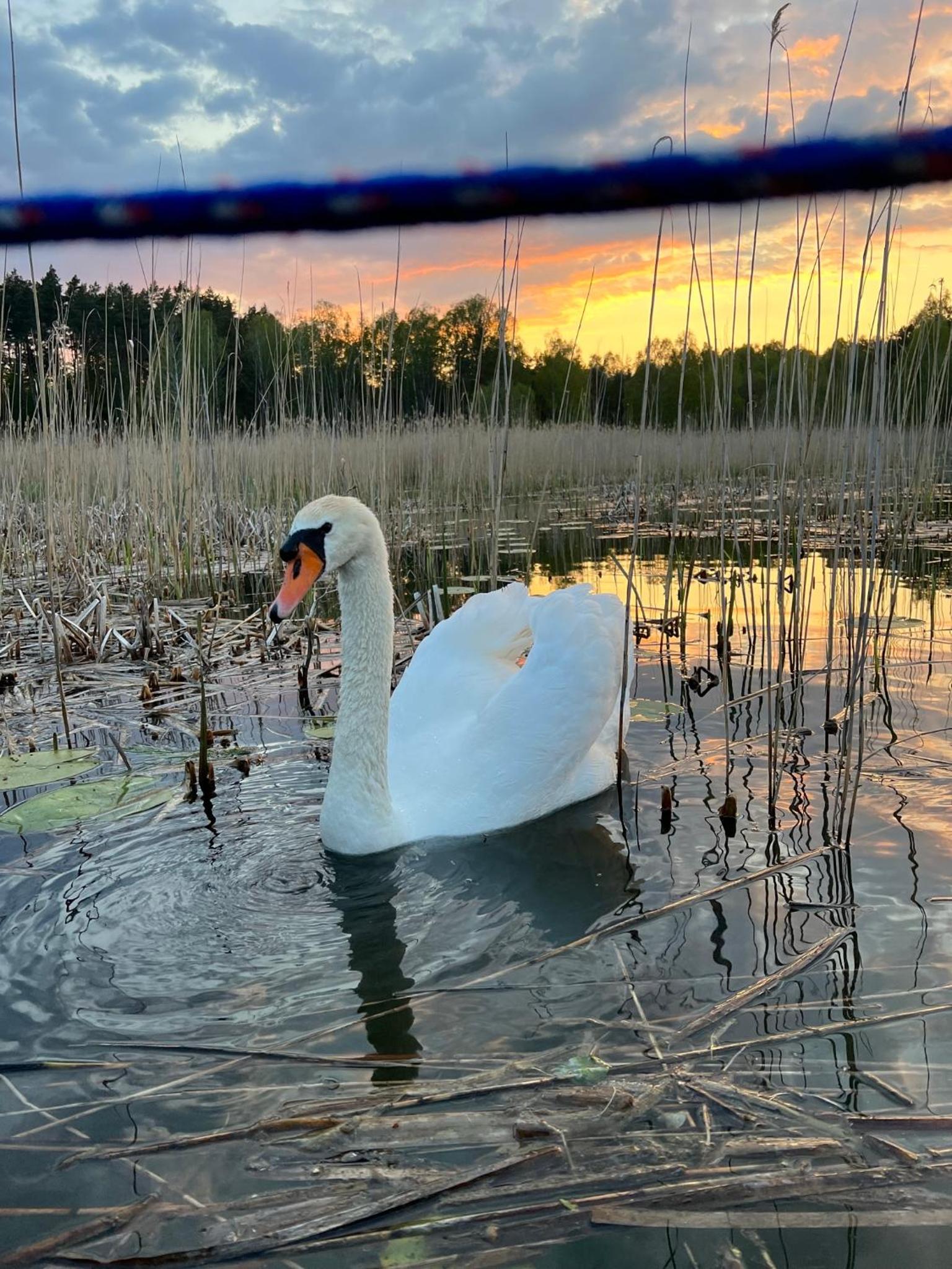 Dom Natura