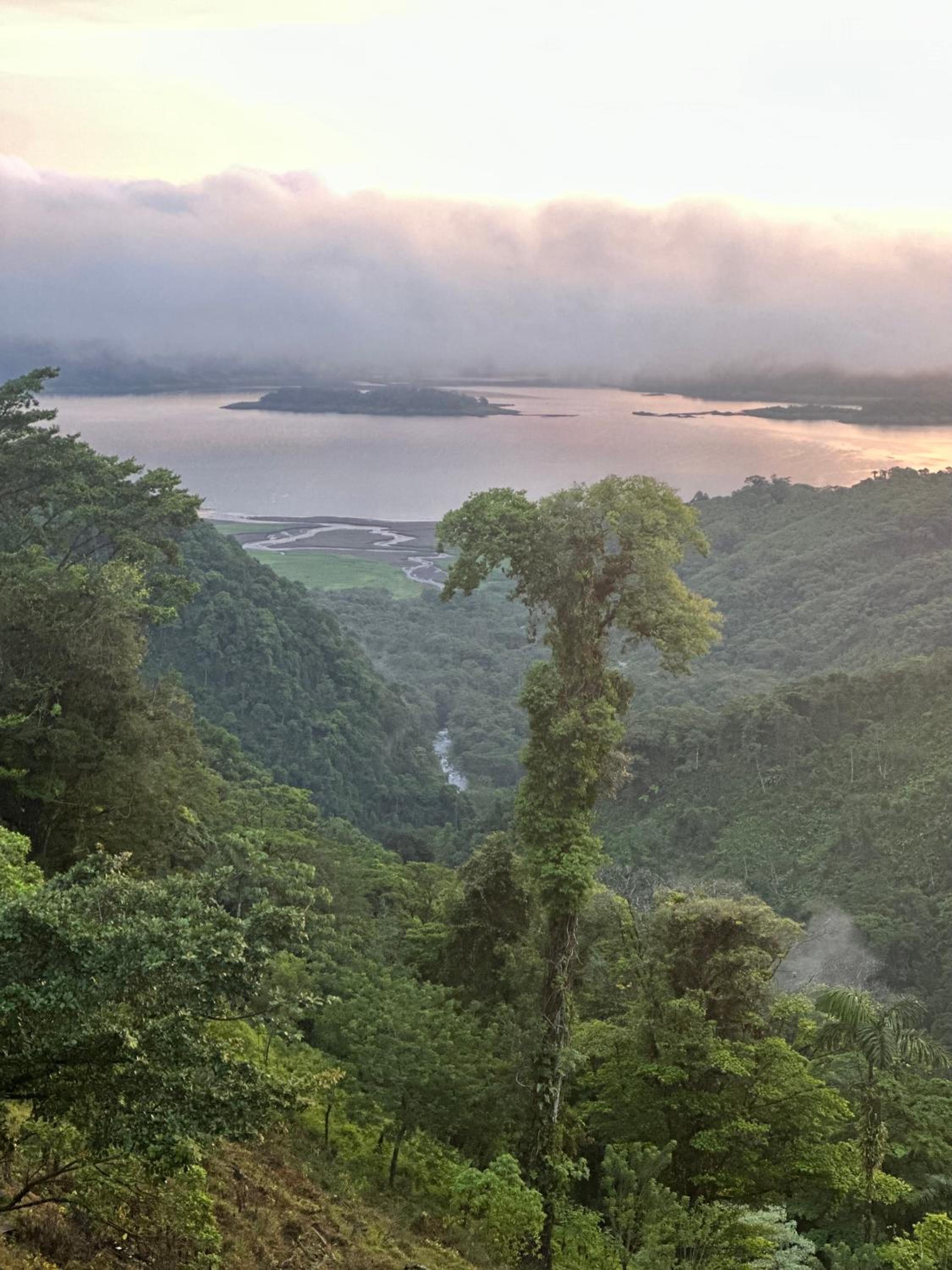 Finca Del Cielo