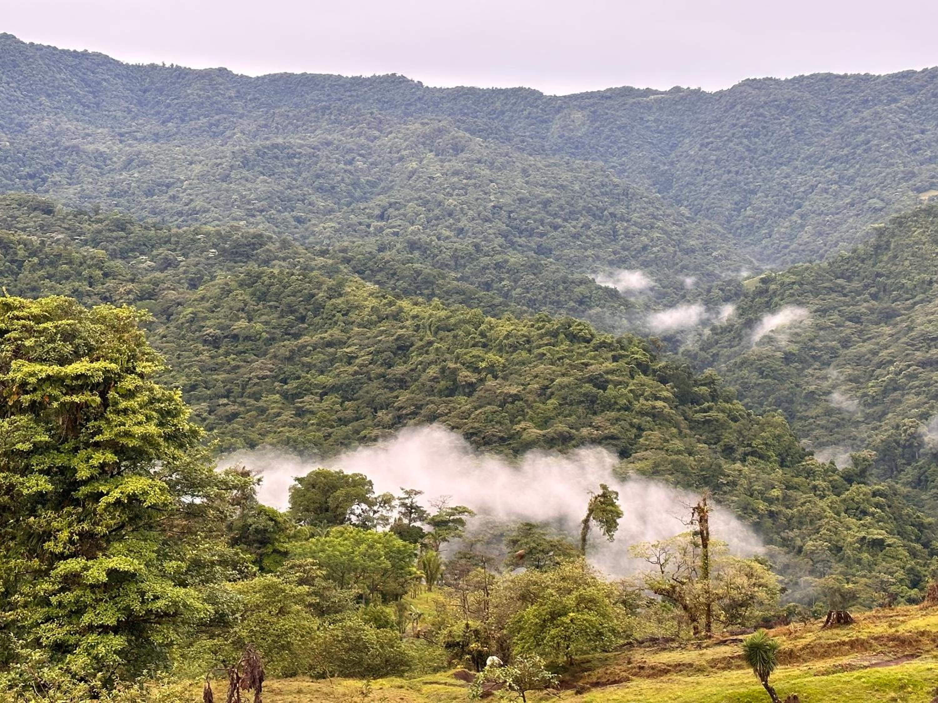 Finca Del Cielo