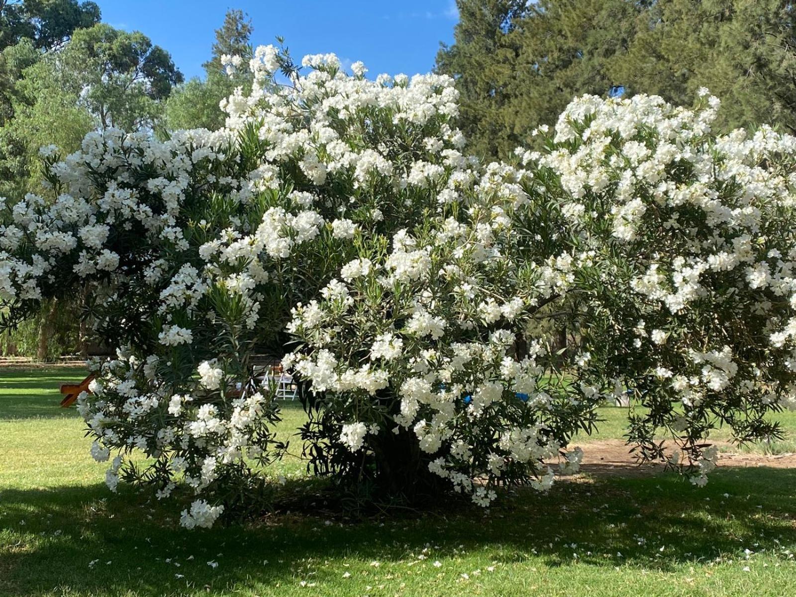 La Quebrada Park