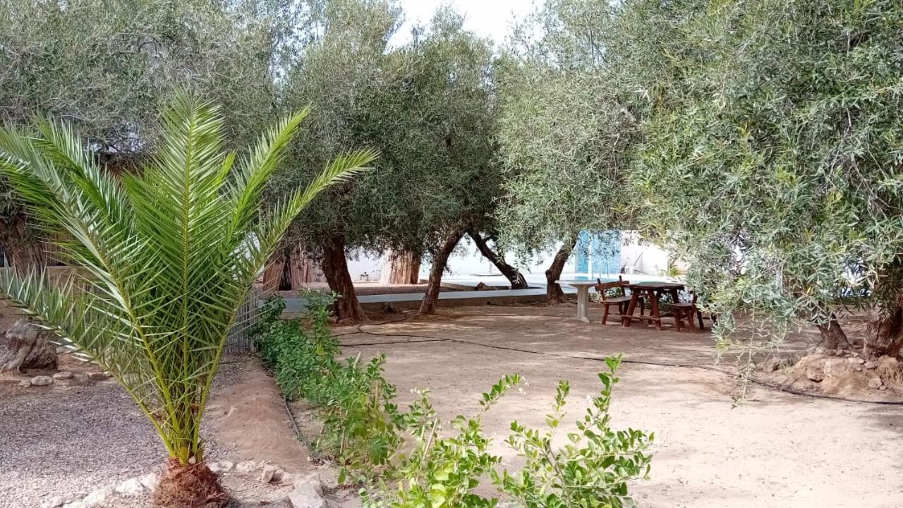 Photo 7