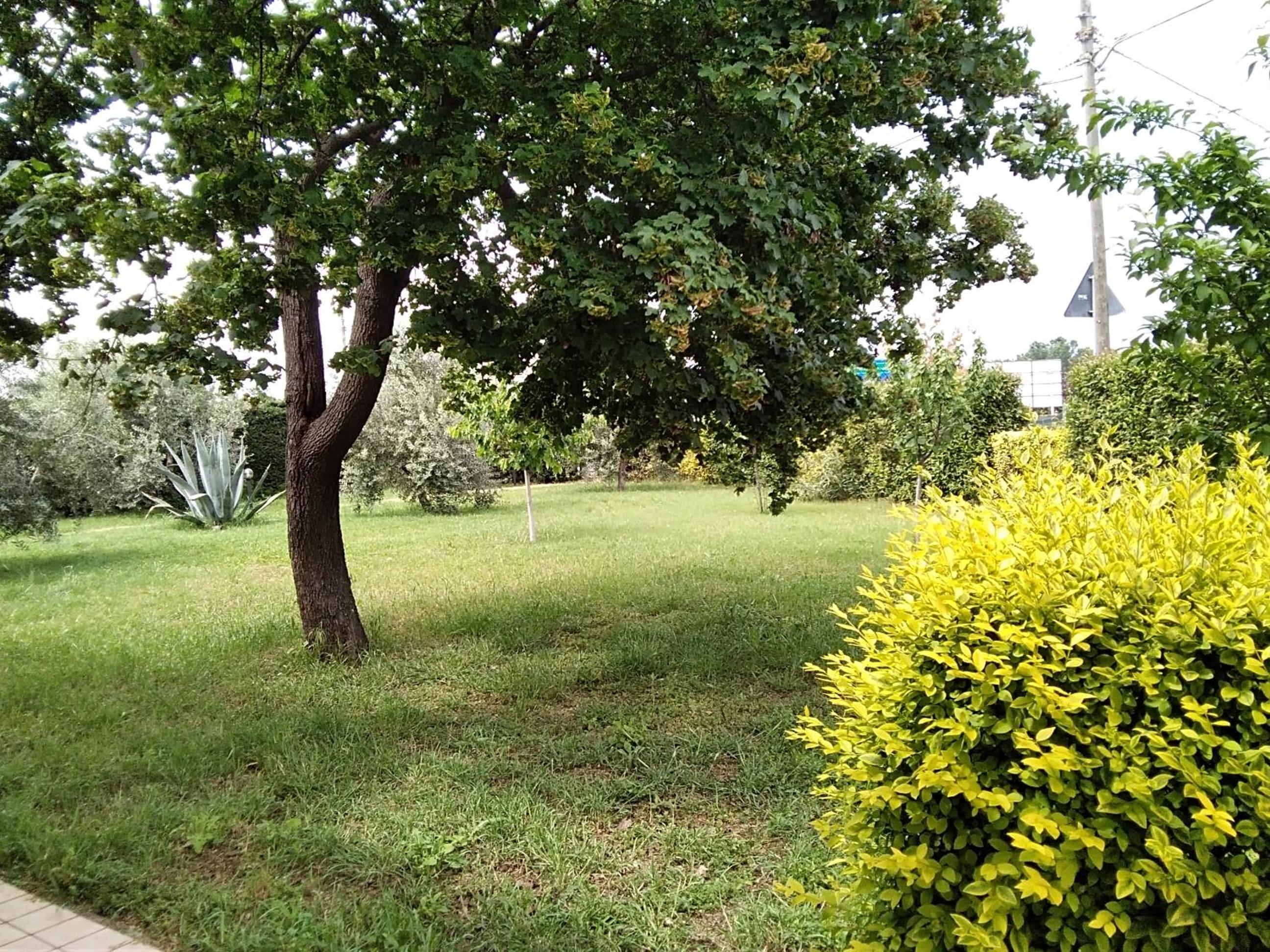 La Dèpendance en Rimini — other