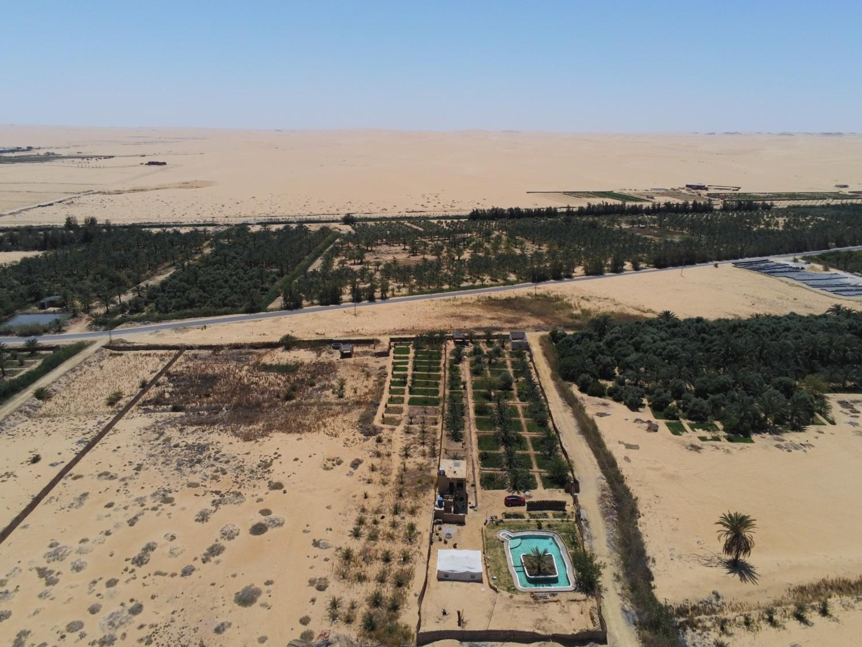 La Siwa