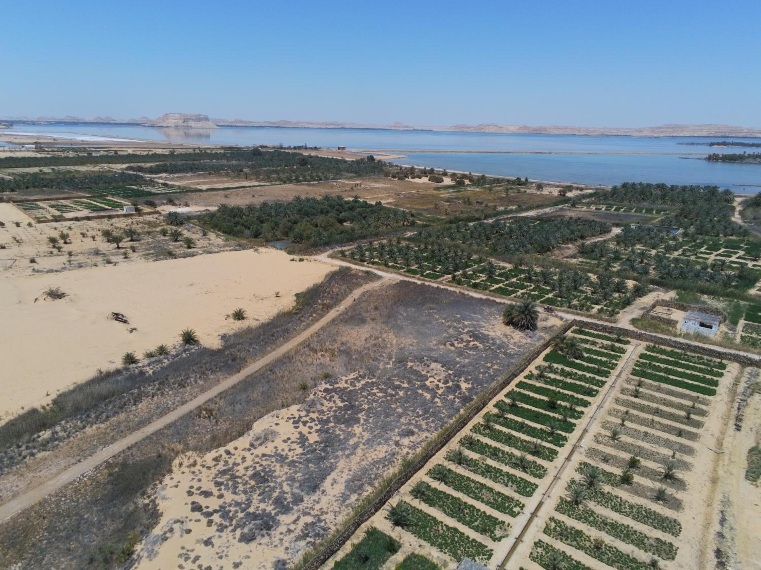 La Siwa