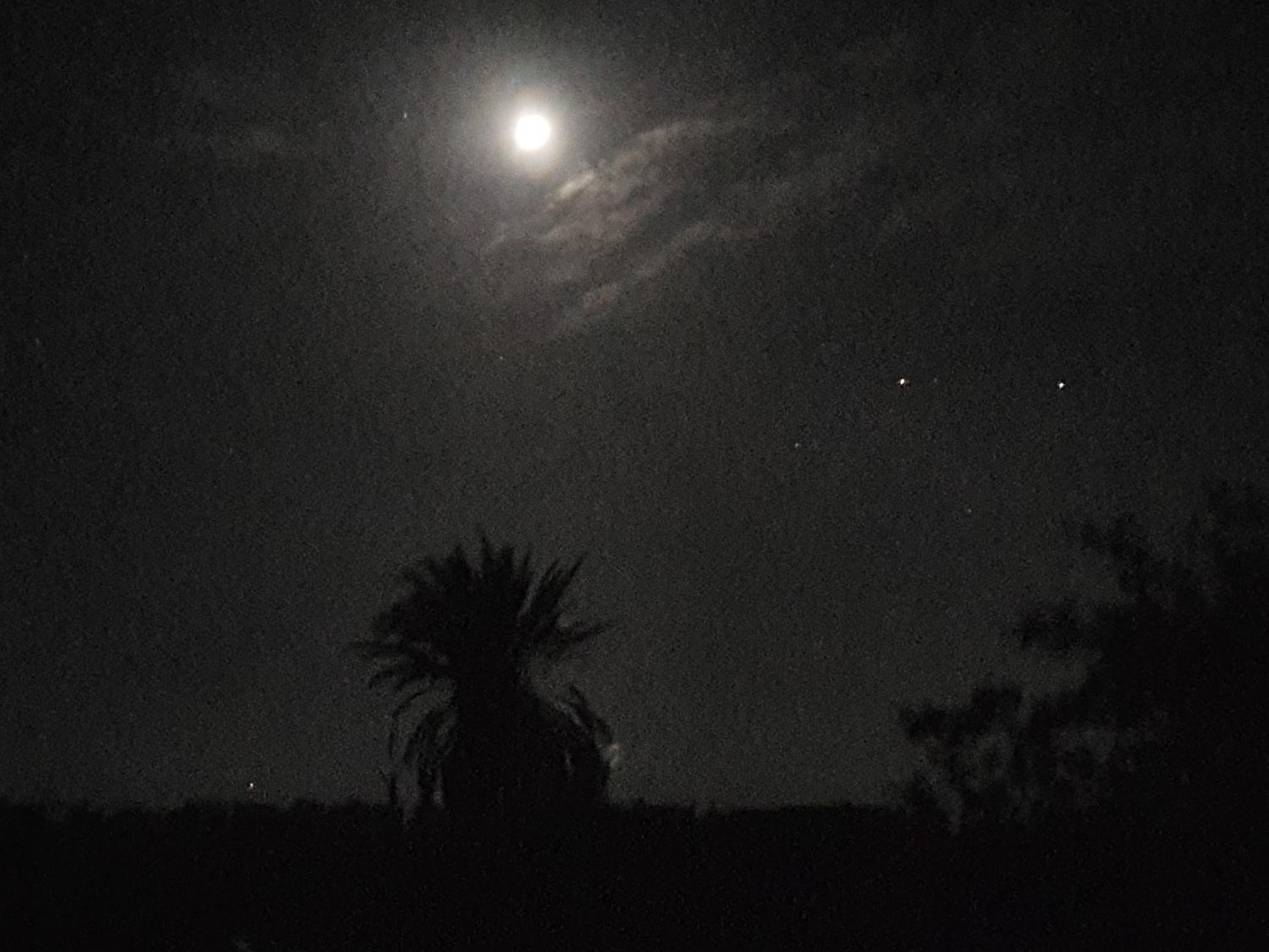 La Siwa