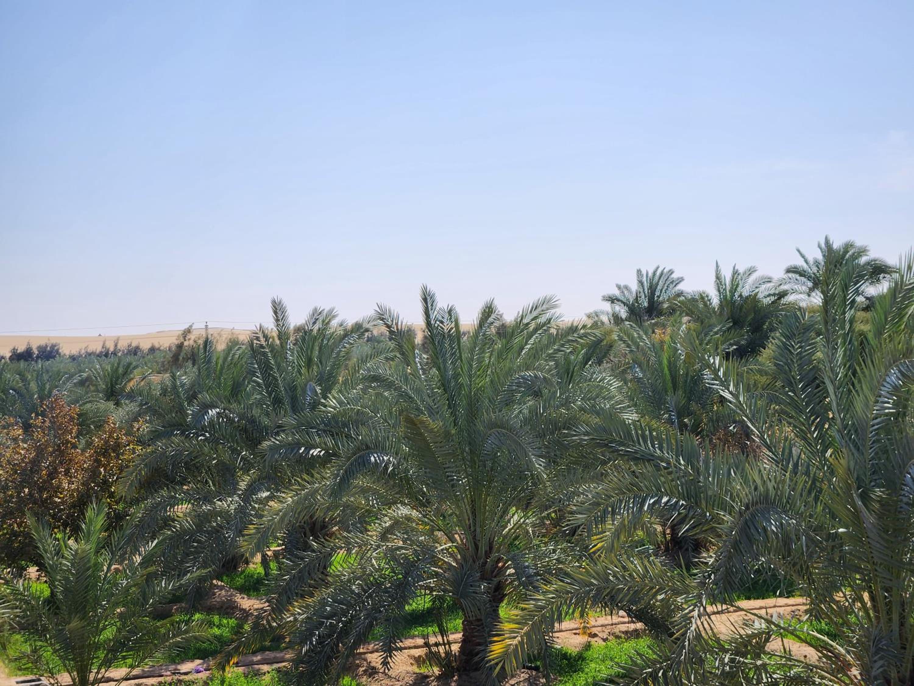 La Siwa
