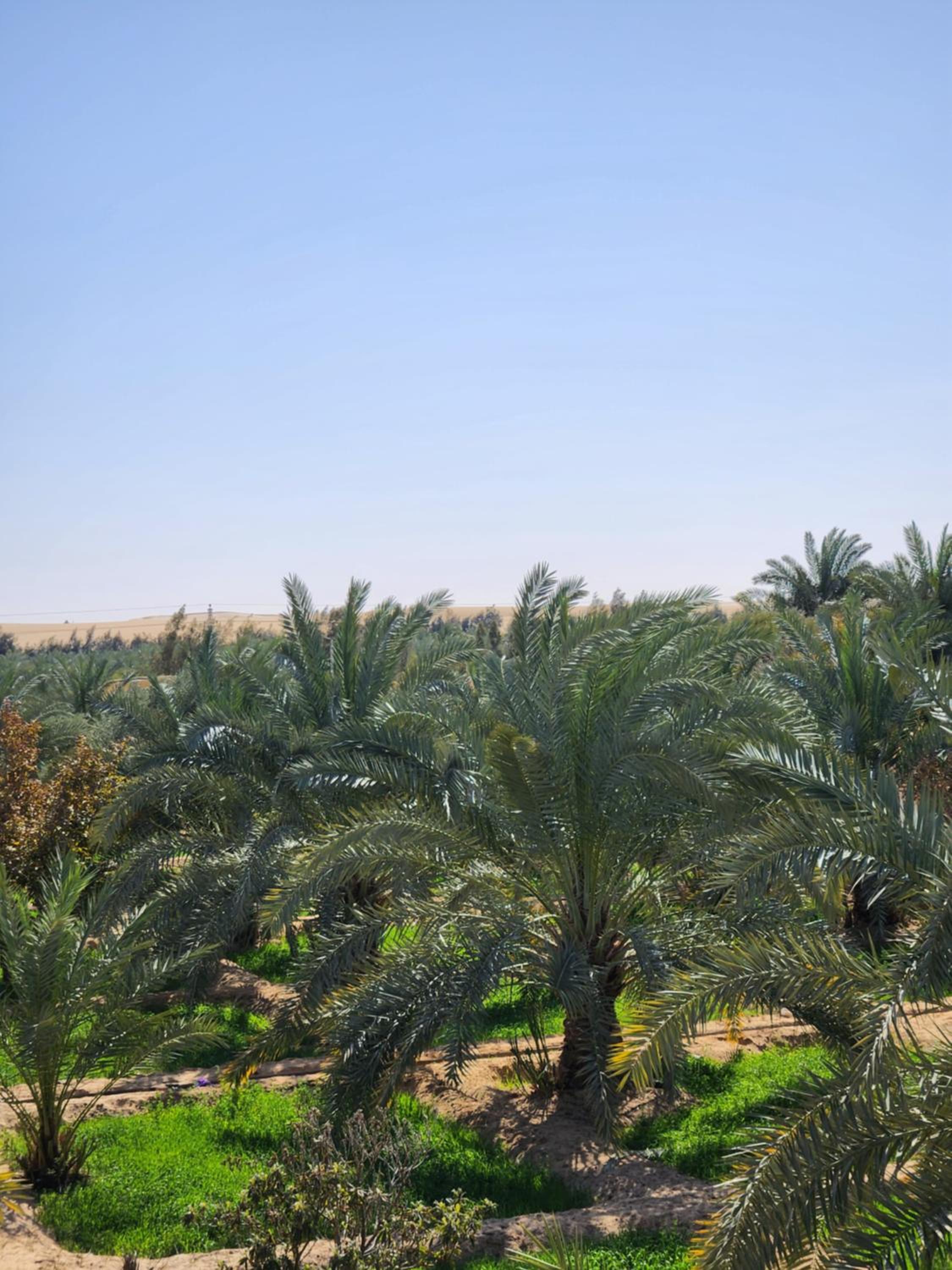 La Siwa