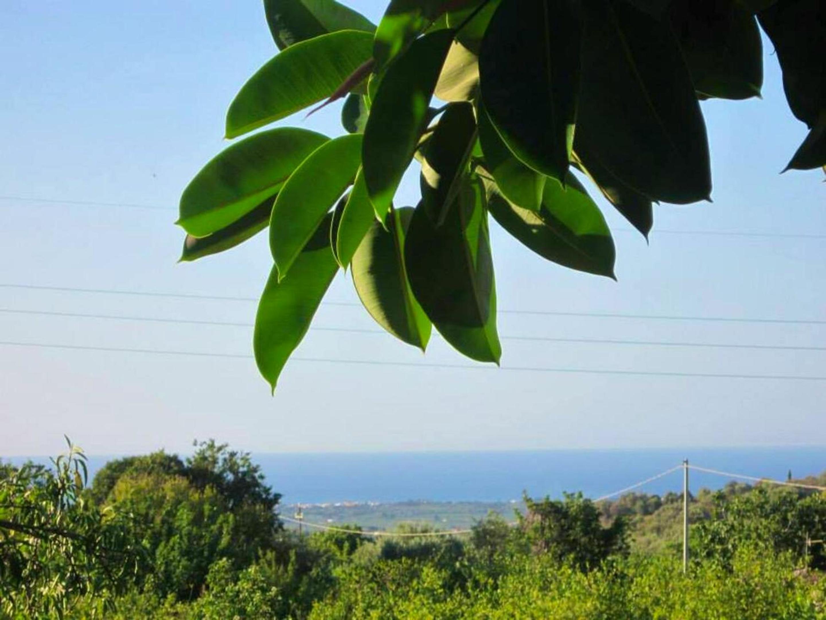 Charming house near Avola with private entrance