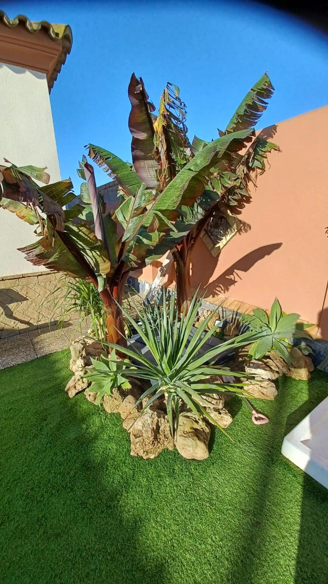 Villa Mi Deseo
