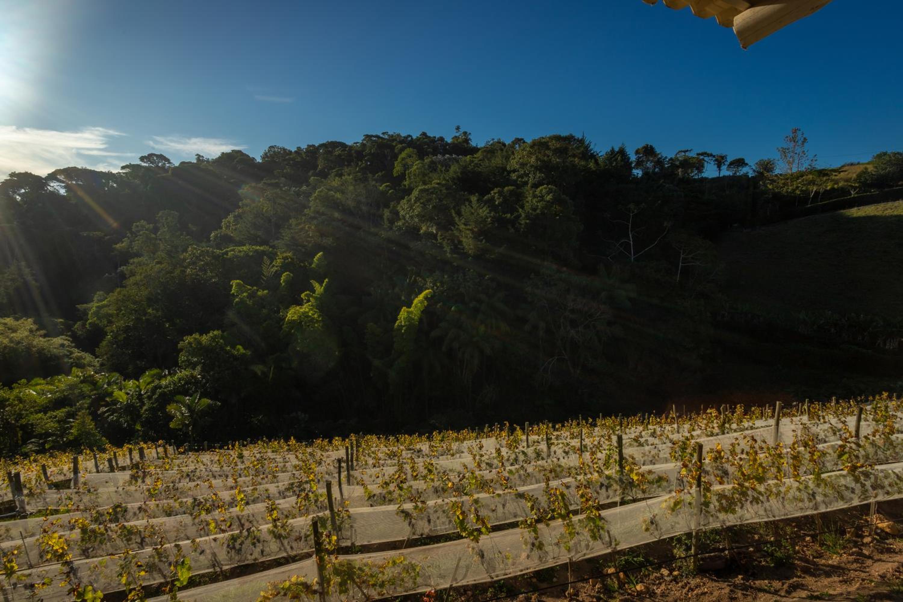 Quinta dos Manacás Pousada e Restaurante