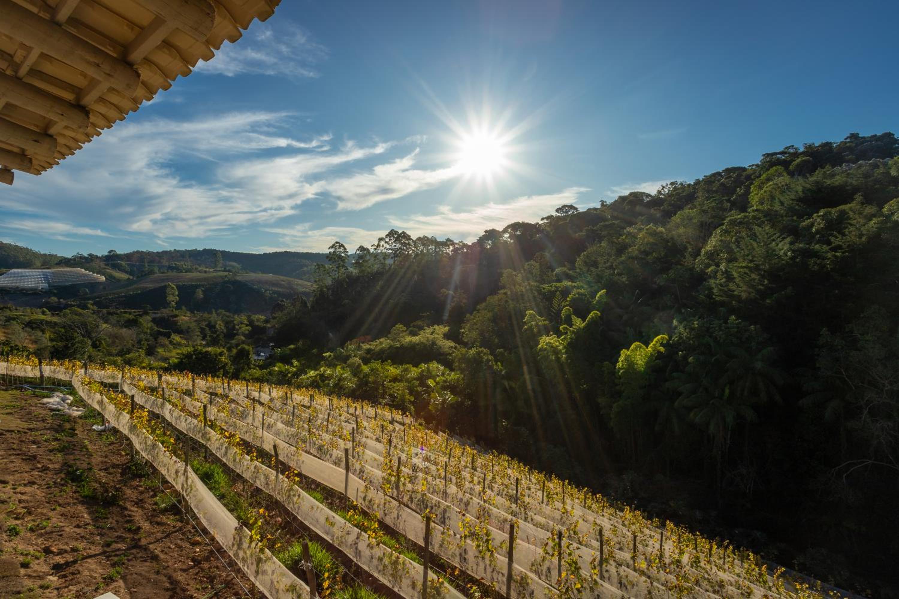 Quinta dos Manacás Pousada e Restaurante