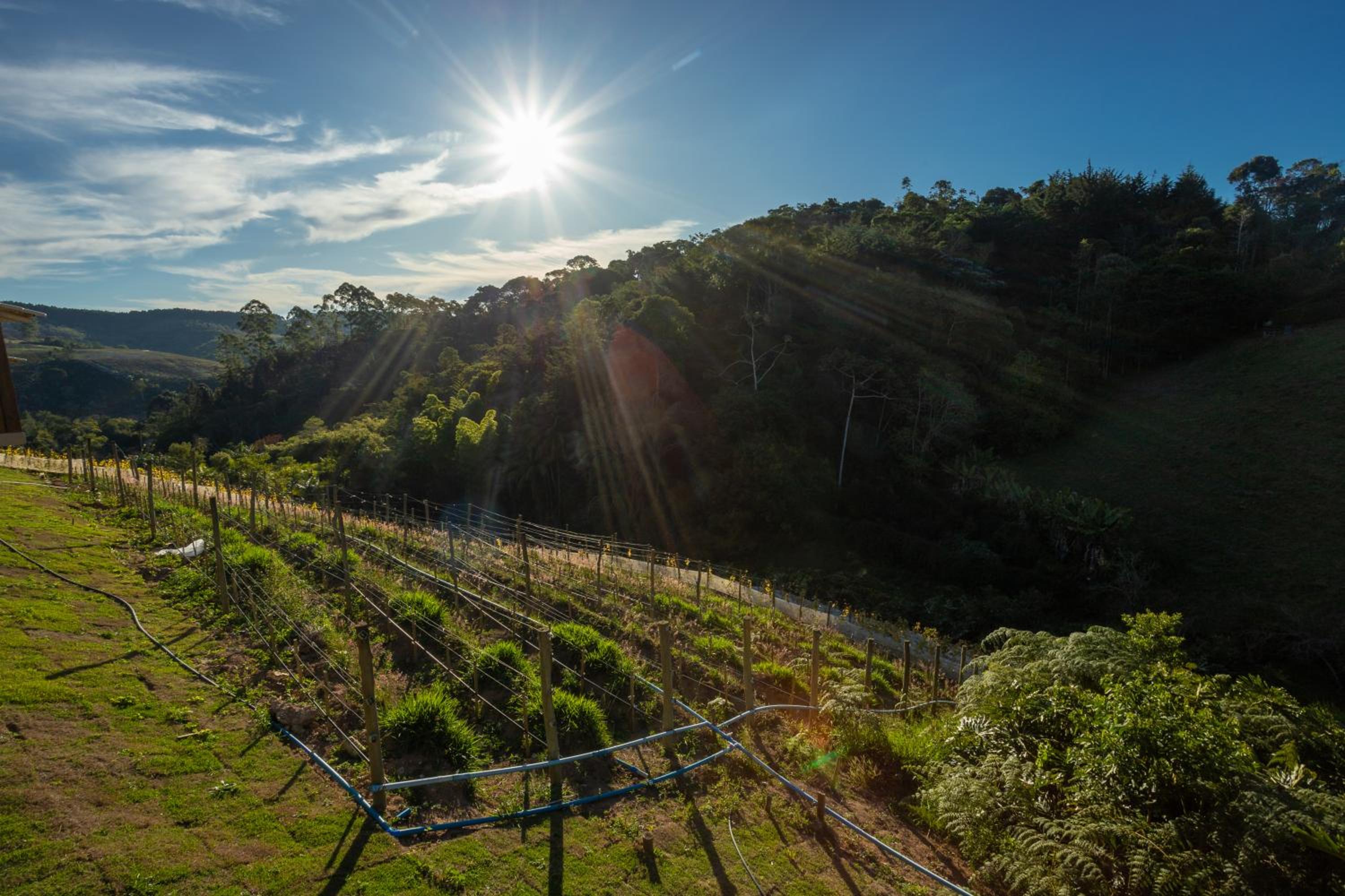 Quinta dos Manacás Pousada e Restaurante