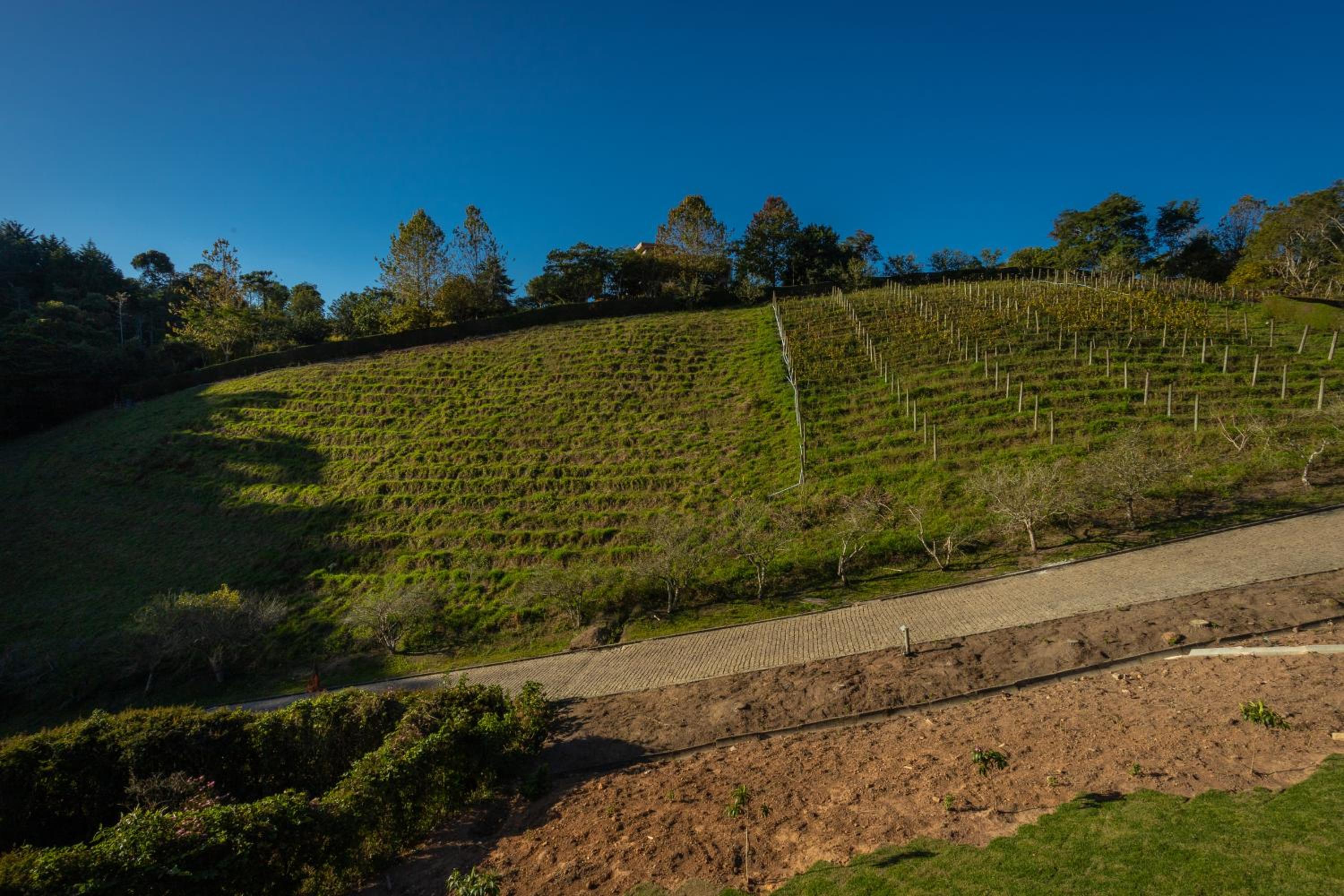 Quinta dos Manacás Pousada e Restaurante