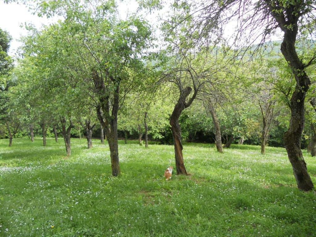 Photo 30