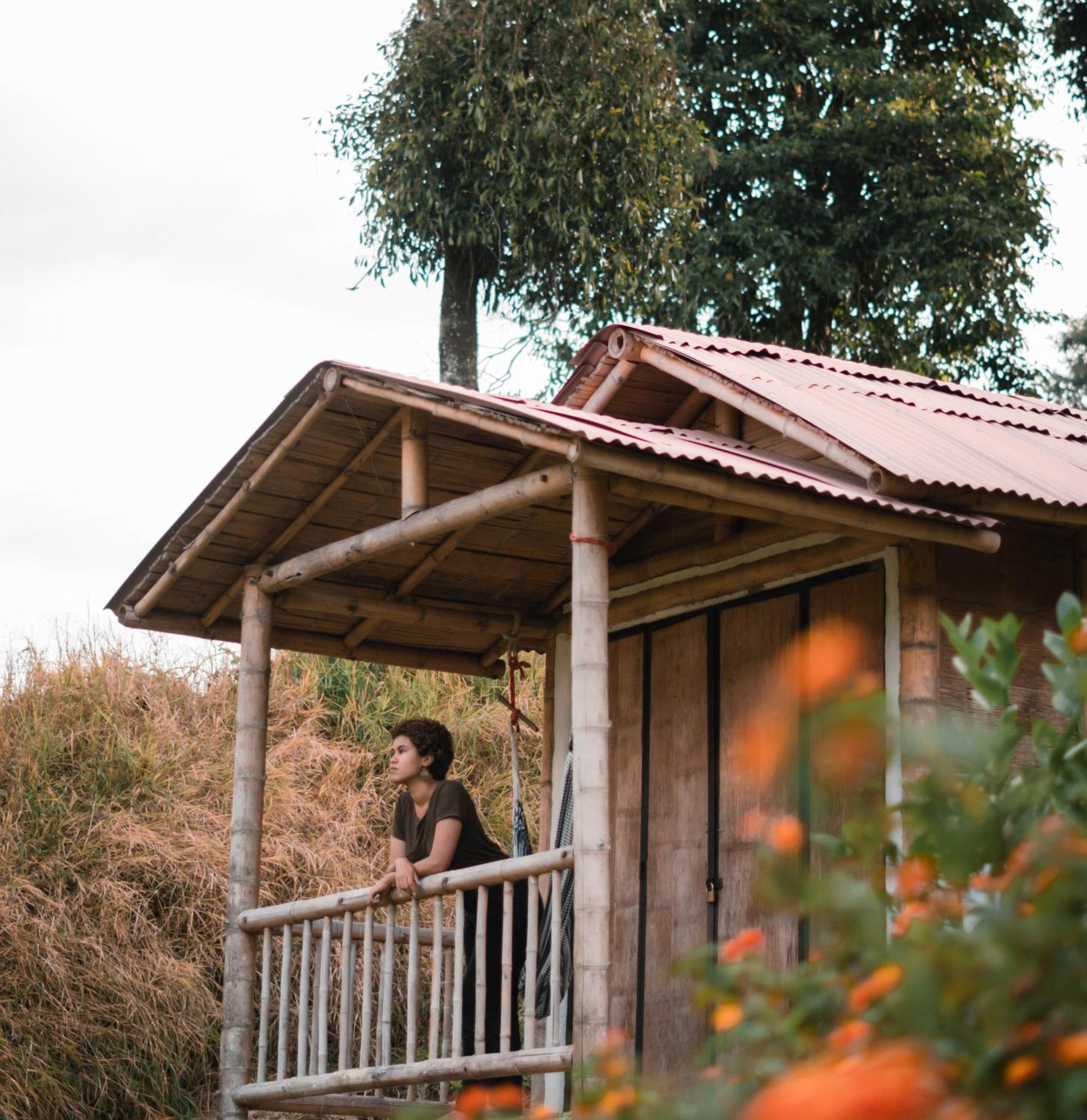 Hacienda Venecia Hostel