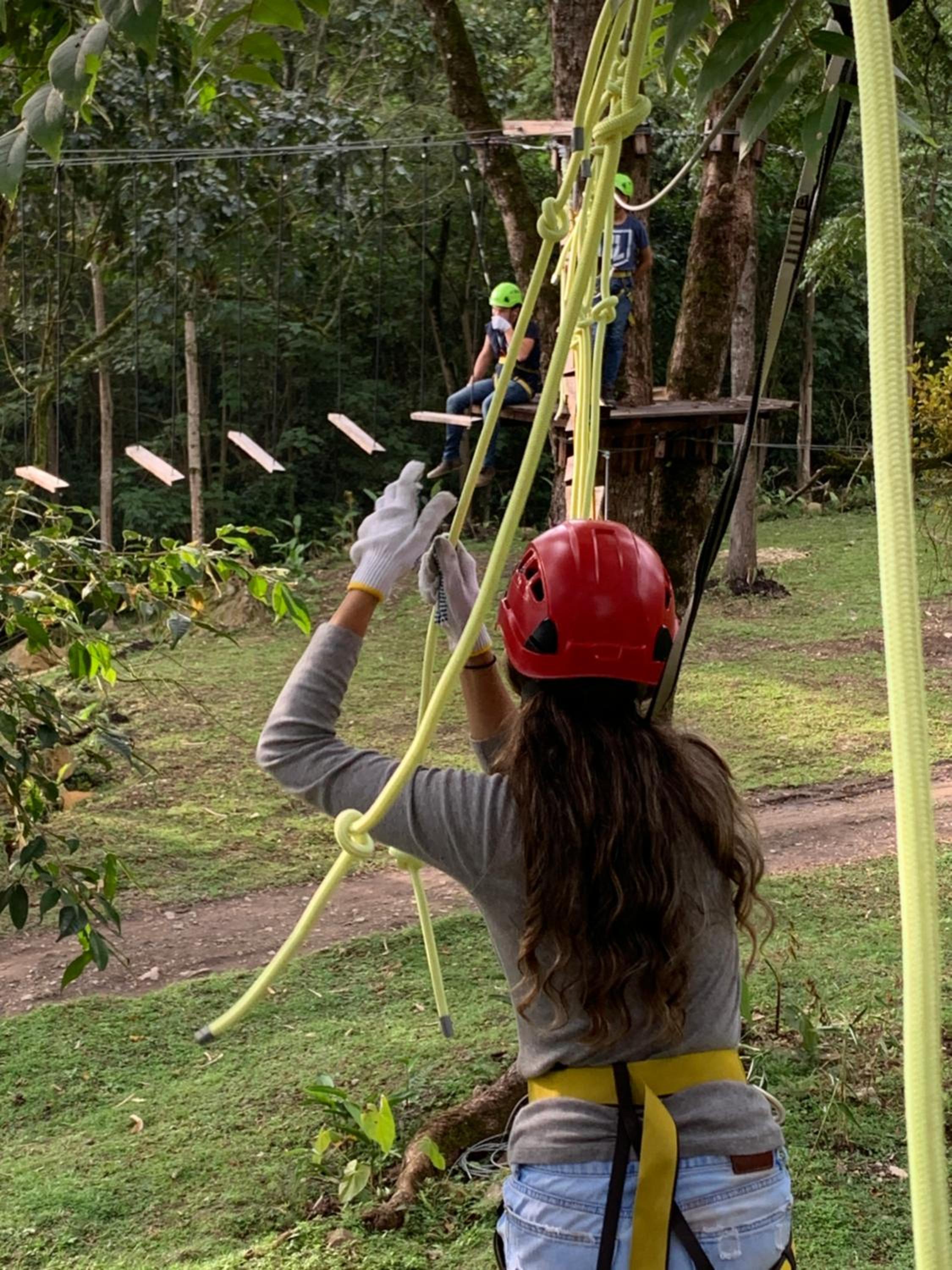 Bosque de Aventura & Glamping El Refugio del Bosque