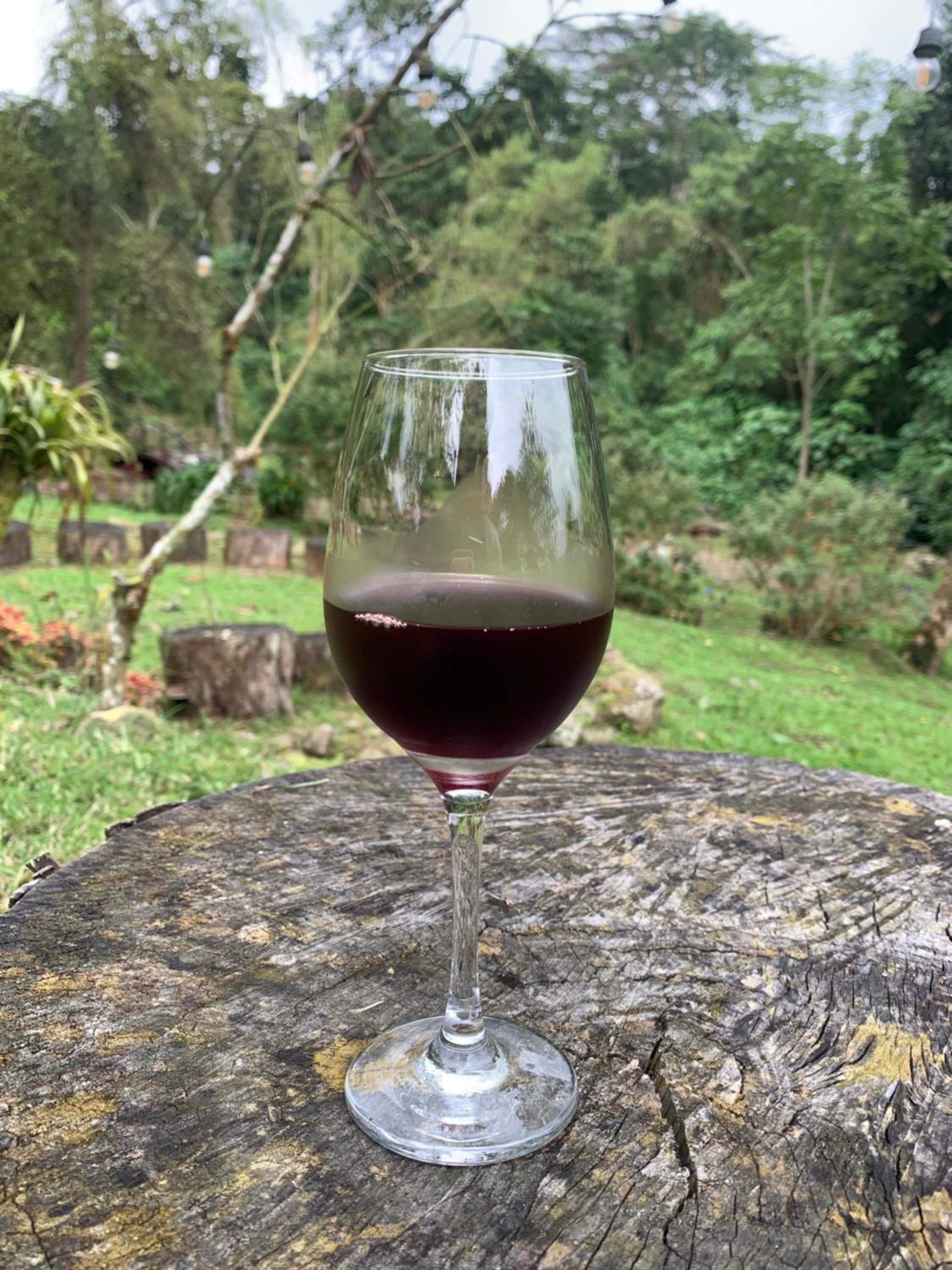 Bosque de Aventura & Glamping El Refugio del Bosque