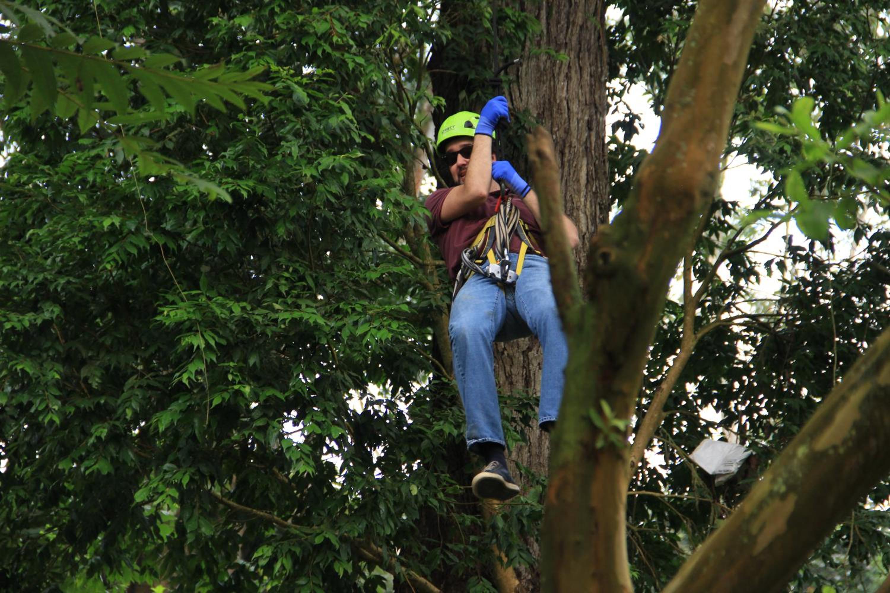 Bosque de Aventura & Glamping El Refugio del Bosque