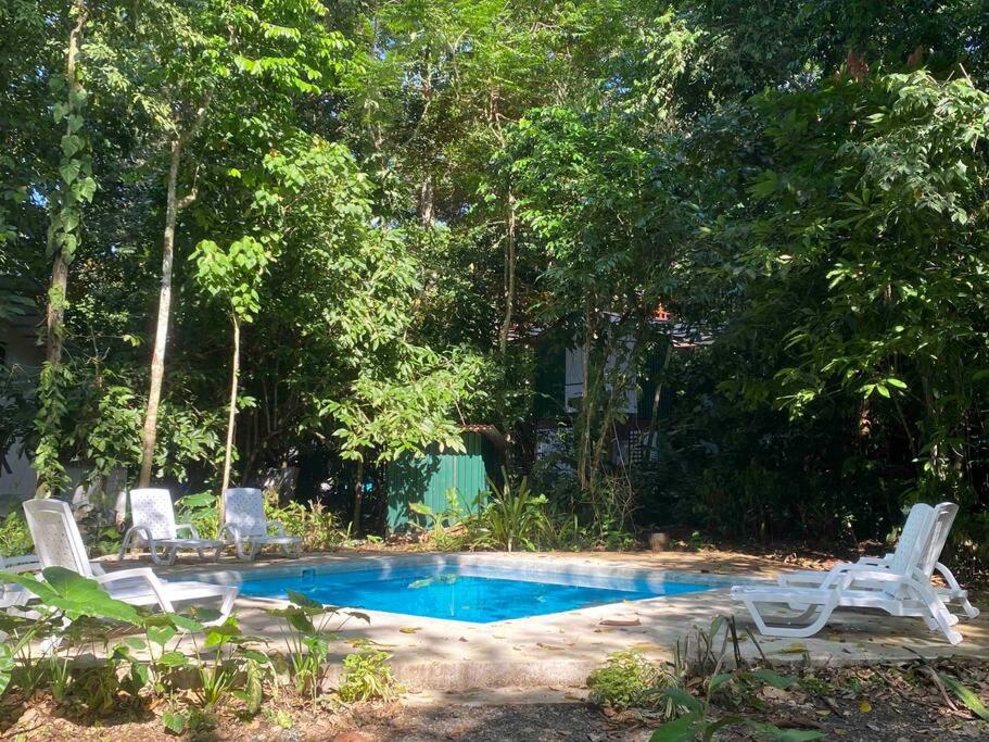 Peaceful Jungle Villa Cooper - Pool & Parking for 2 persons