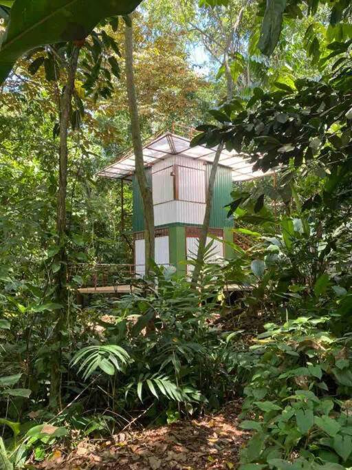 Peaceful Jungle Villa Cooper - Pool & Parking for 2 persons