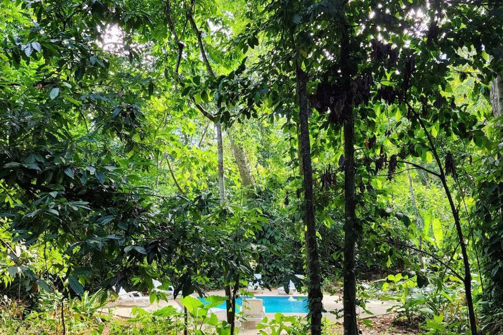 Peaceful Jungle Villa Cooper - Pool & Parking for 2 persons