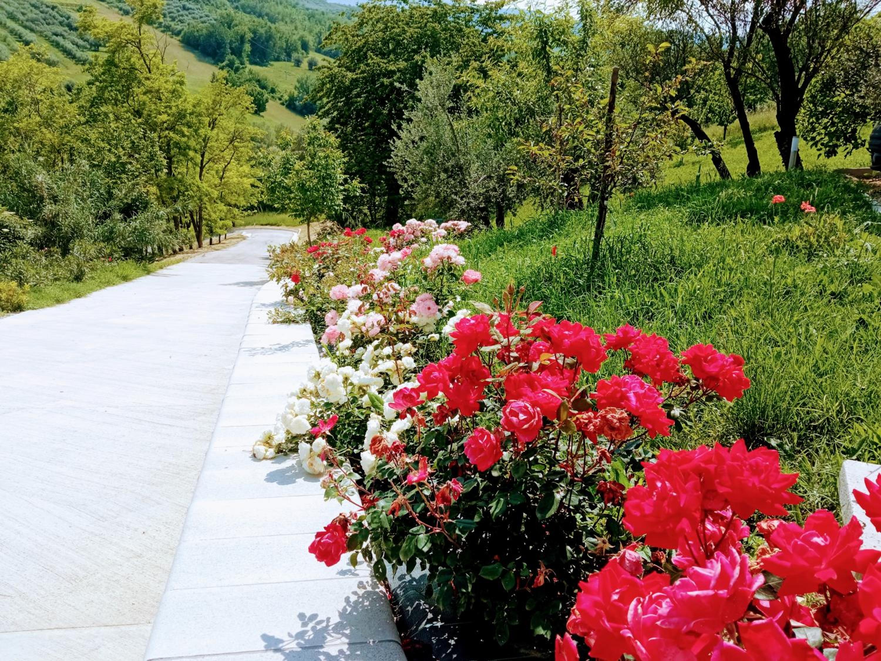Photo 41