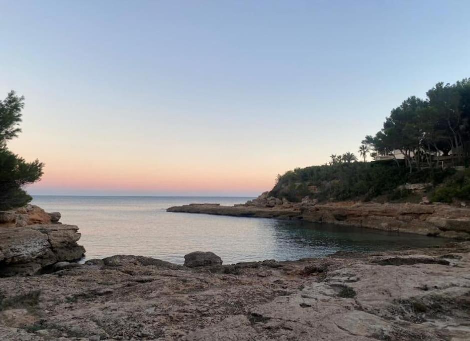 Seaside Serenity