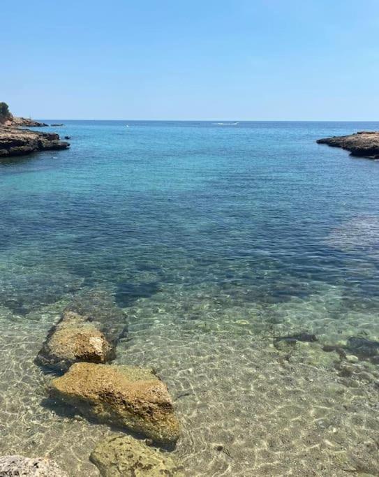 Seaside Serenity
