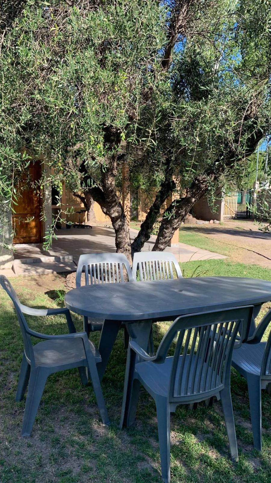 12 Olivos Cabañas