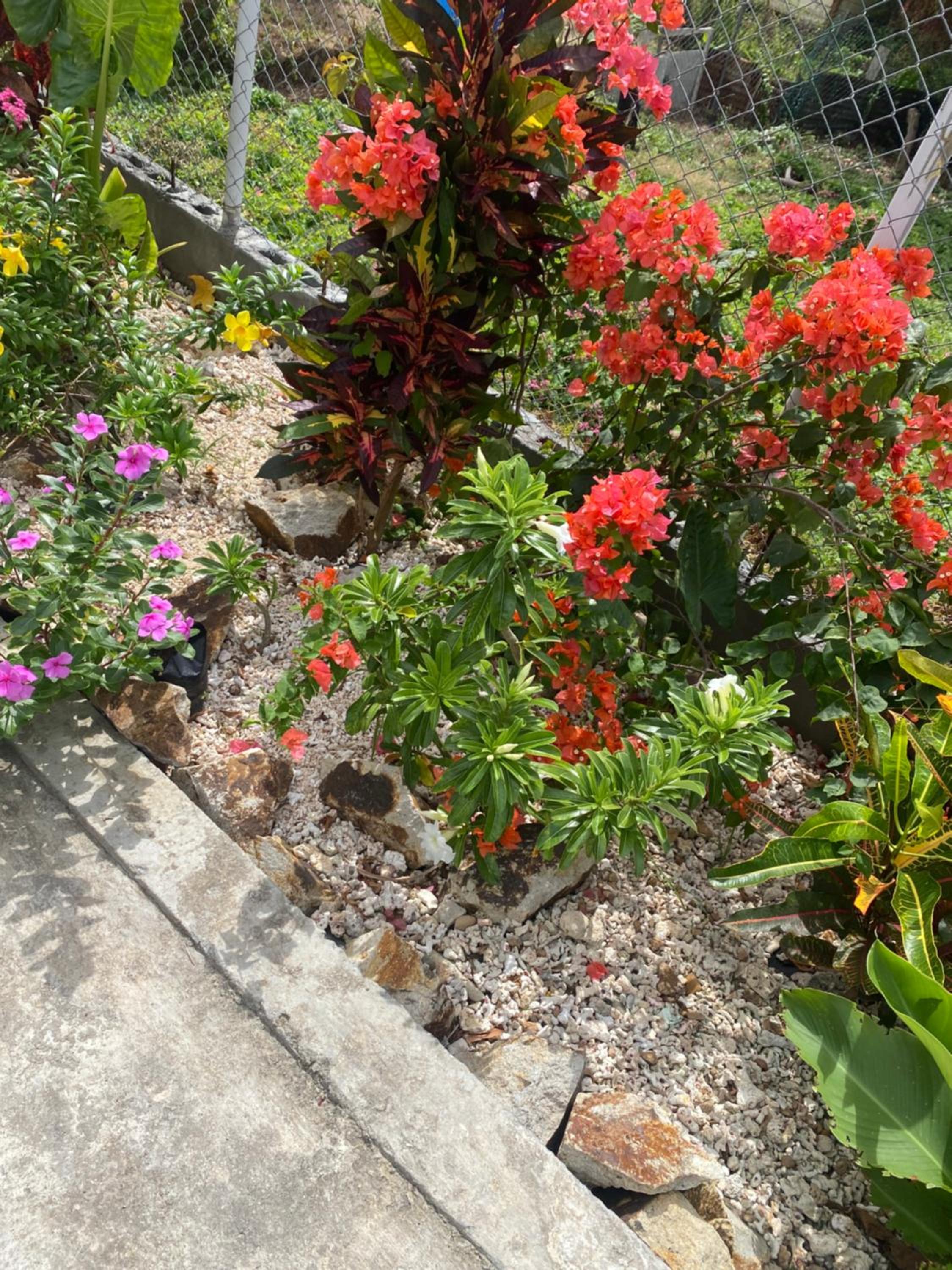 Photo 22
