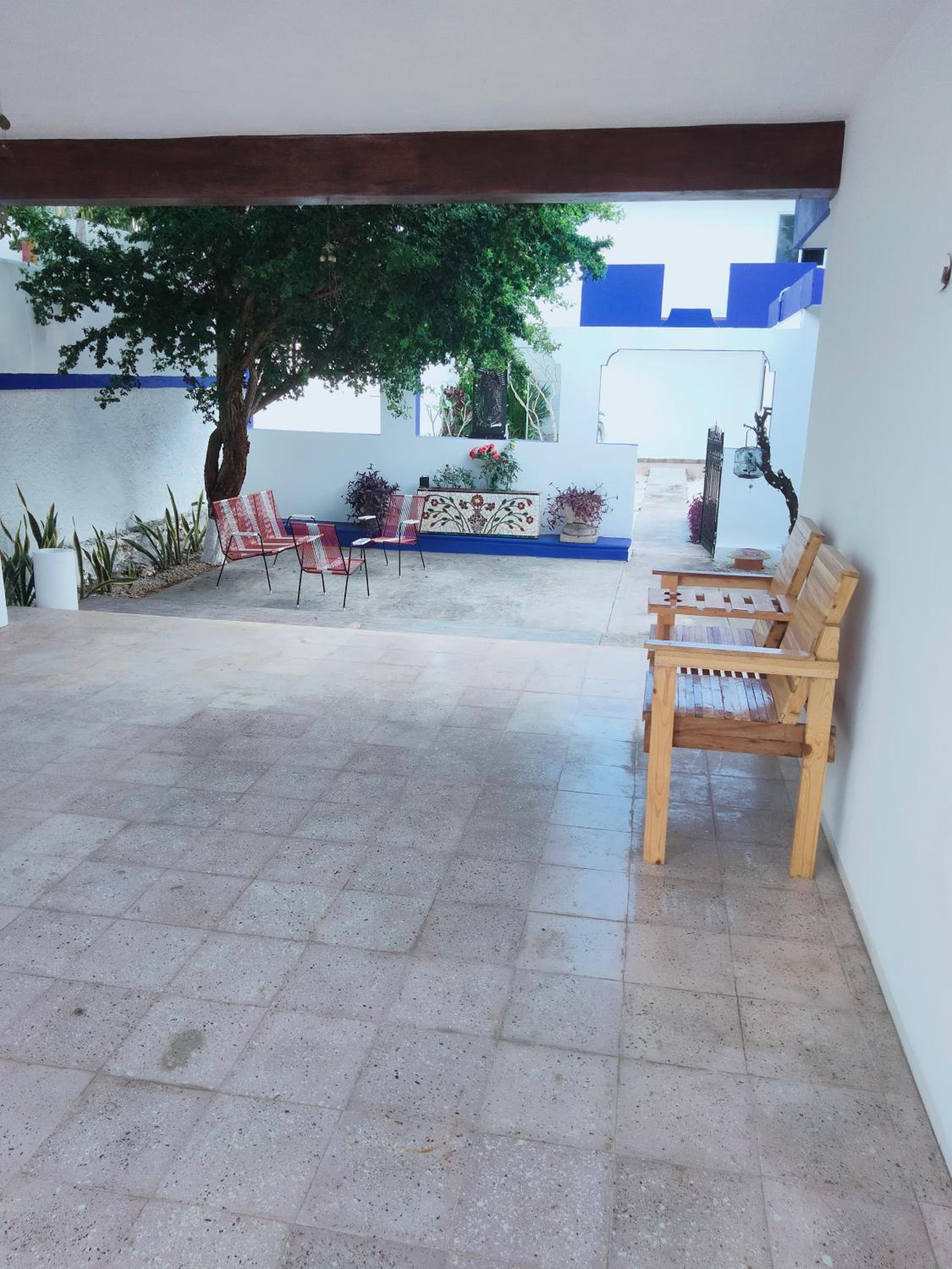Lotchito
