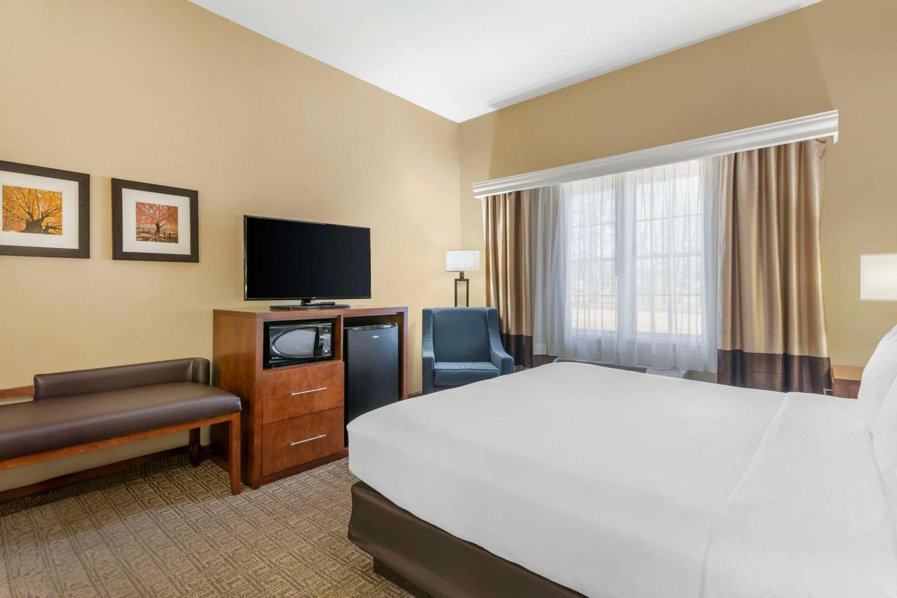 Dover Vacations - Comfort Inn Suites Dover-Portsmouth - Property Image 35
