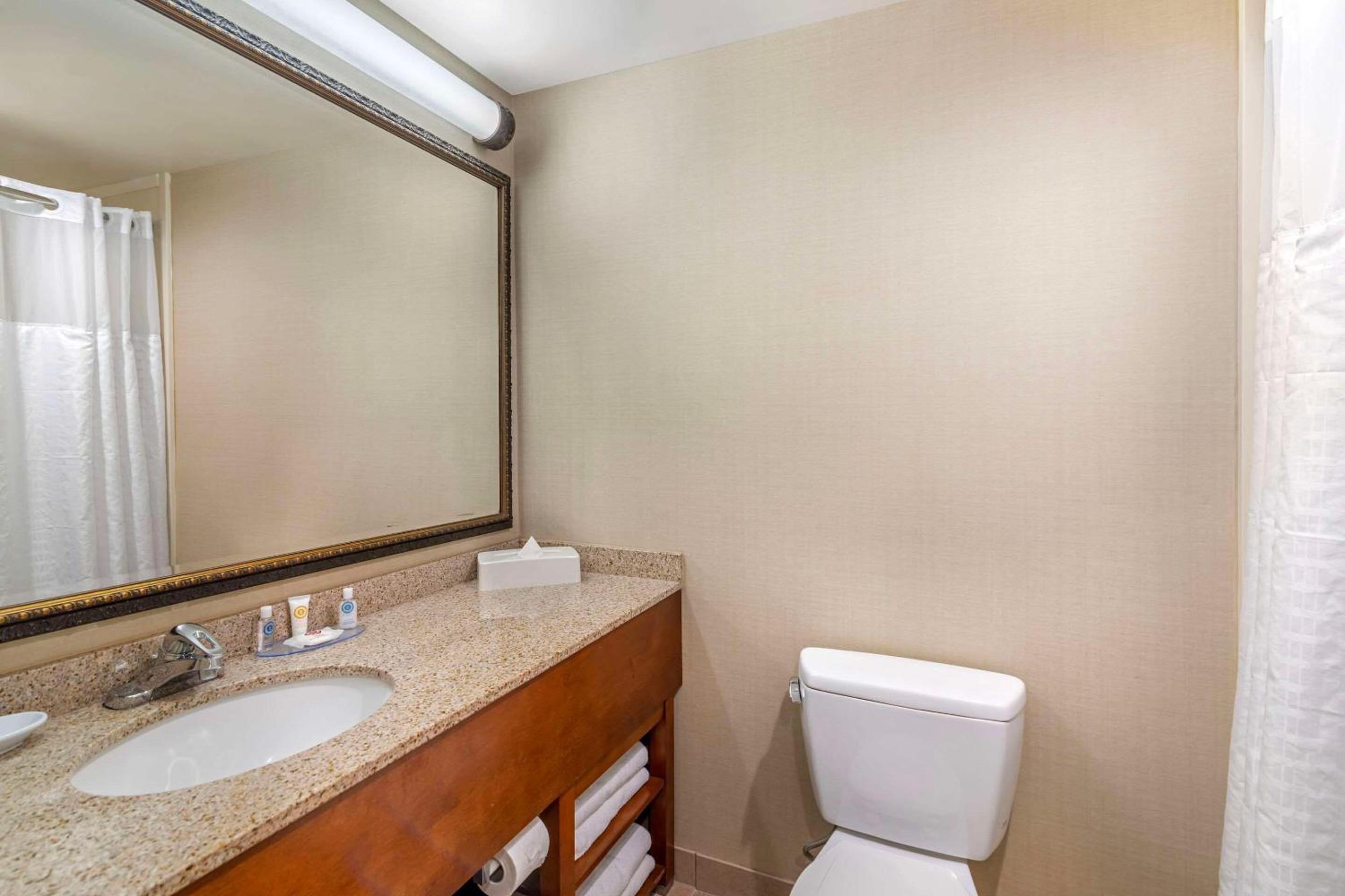 Dover Vacations - Comfort Inn Suites Dover-Portsmouth - Property Image 37