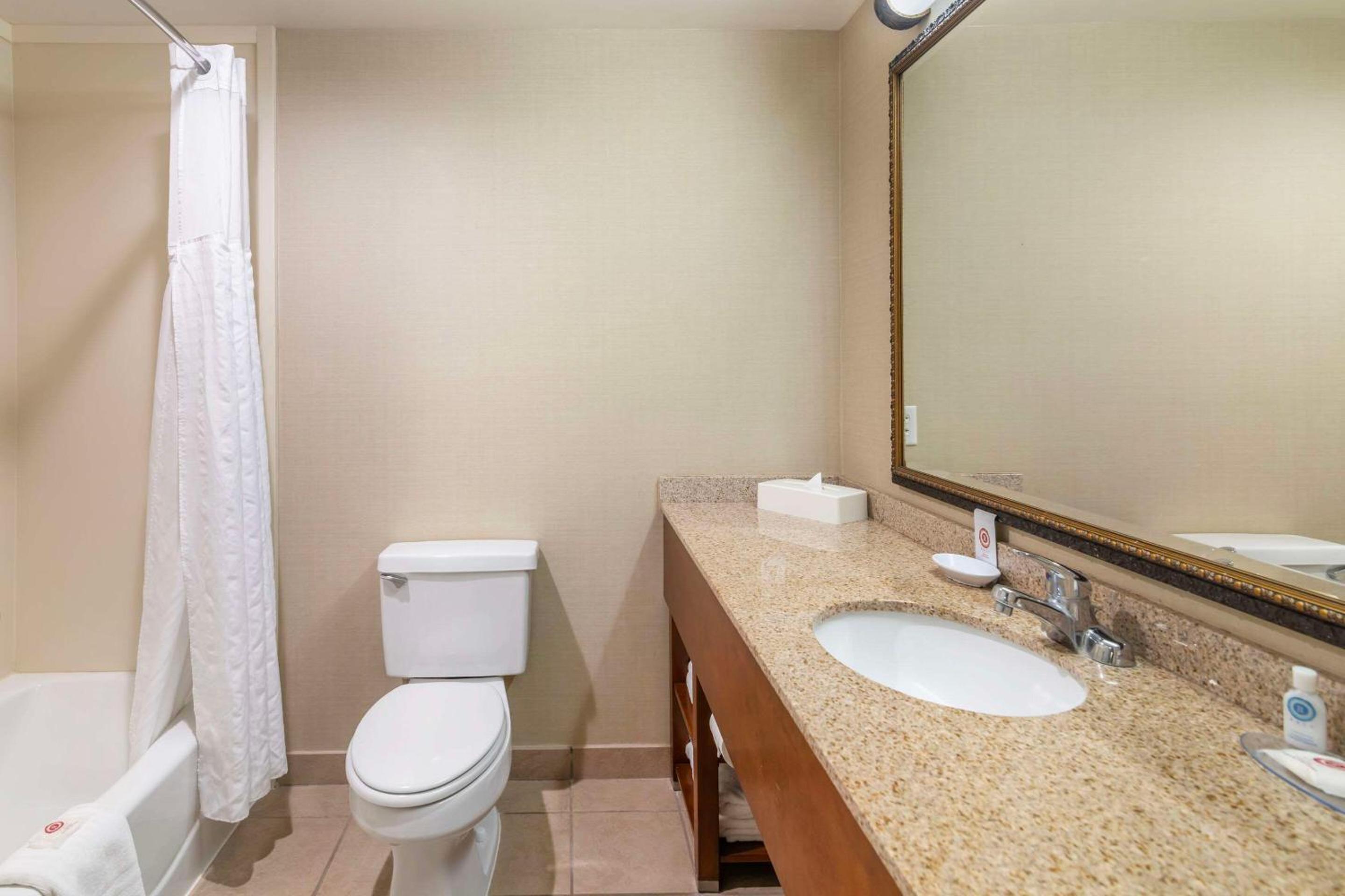 Dover Vacations - Comfort Inn Suites Dover-Portsmouth - Property Image 41