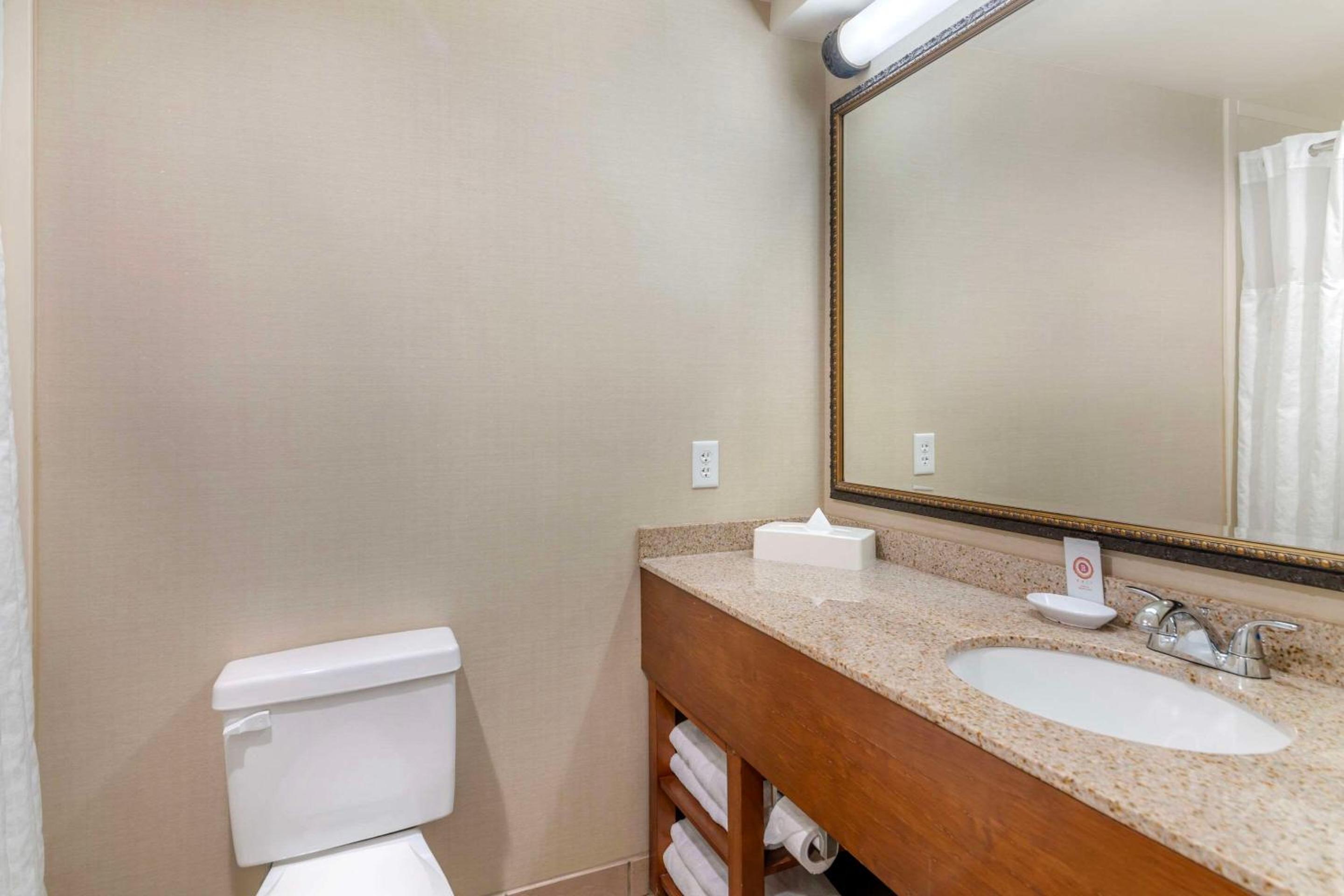 Dover Vacations - Comfort Inn Suites Dover-Portsmouth - Property Image 40