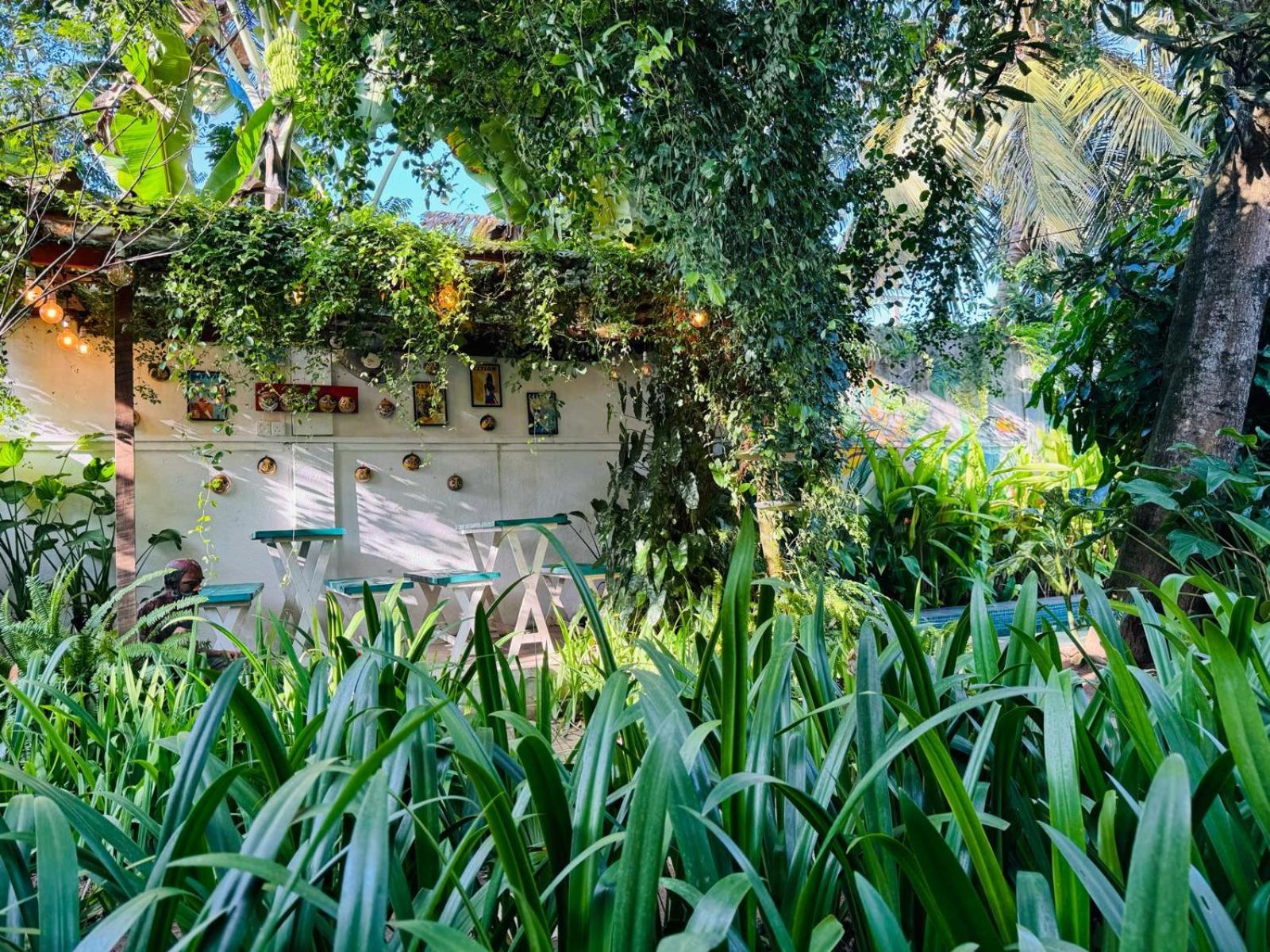 Double Mango Villa view 2