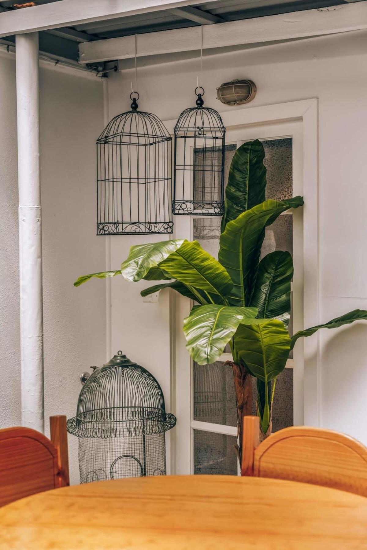Newly Renovated Victorian Townhouse In Bendigo CBD